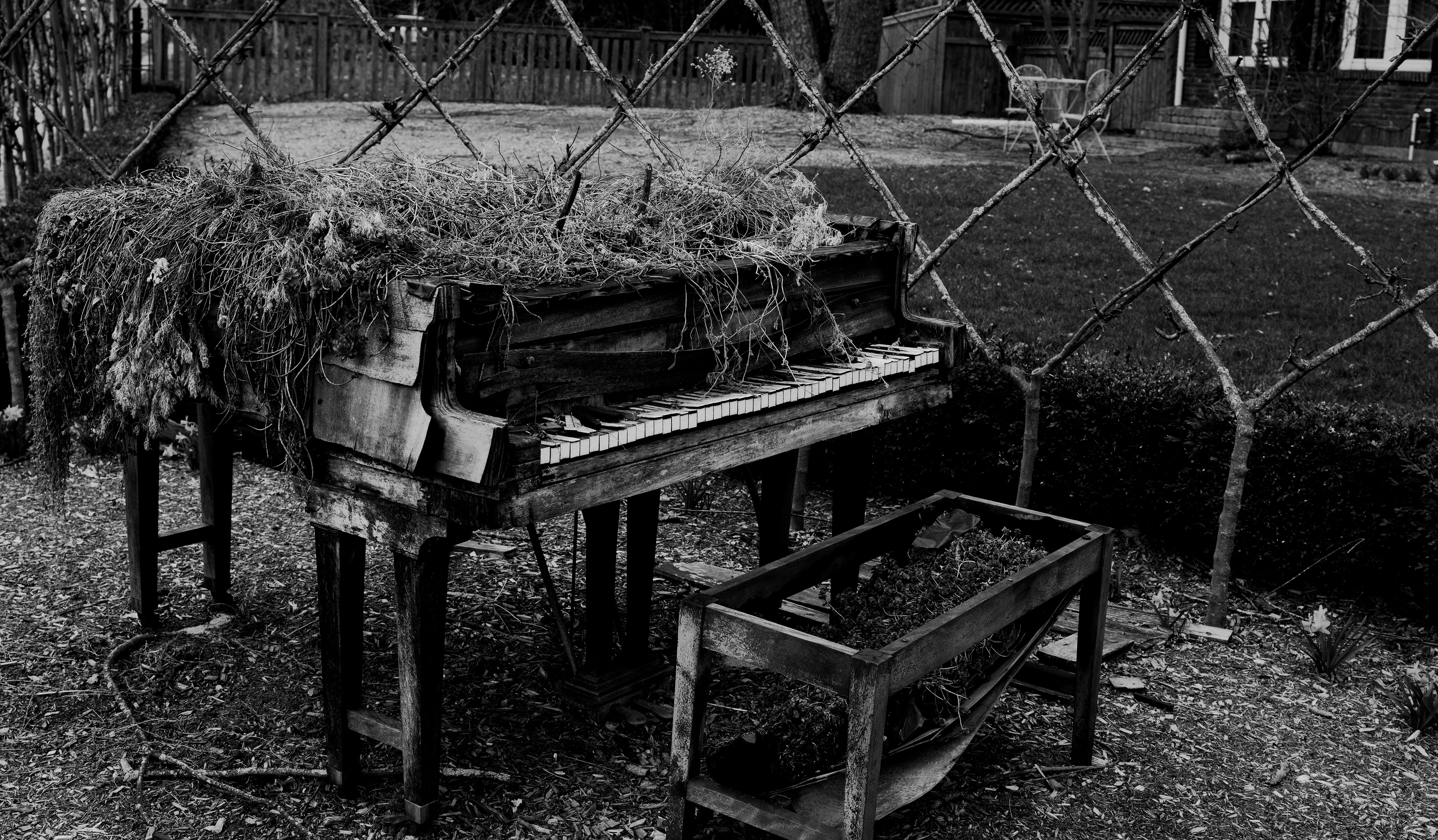 The Last Note