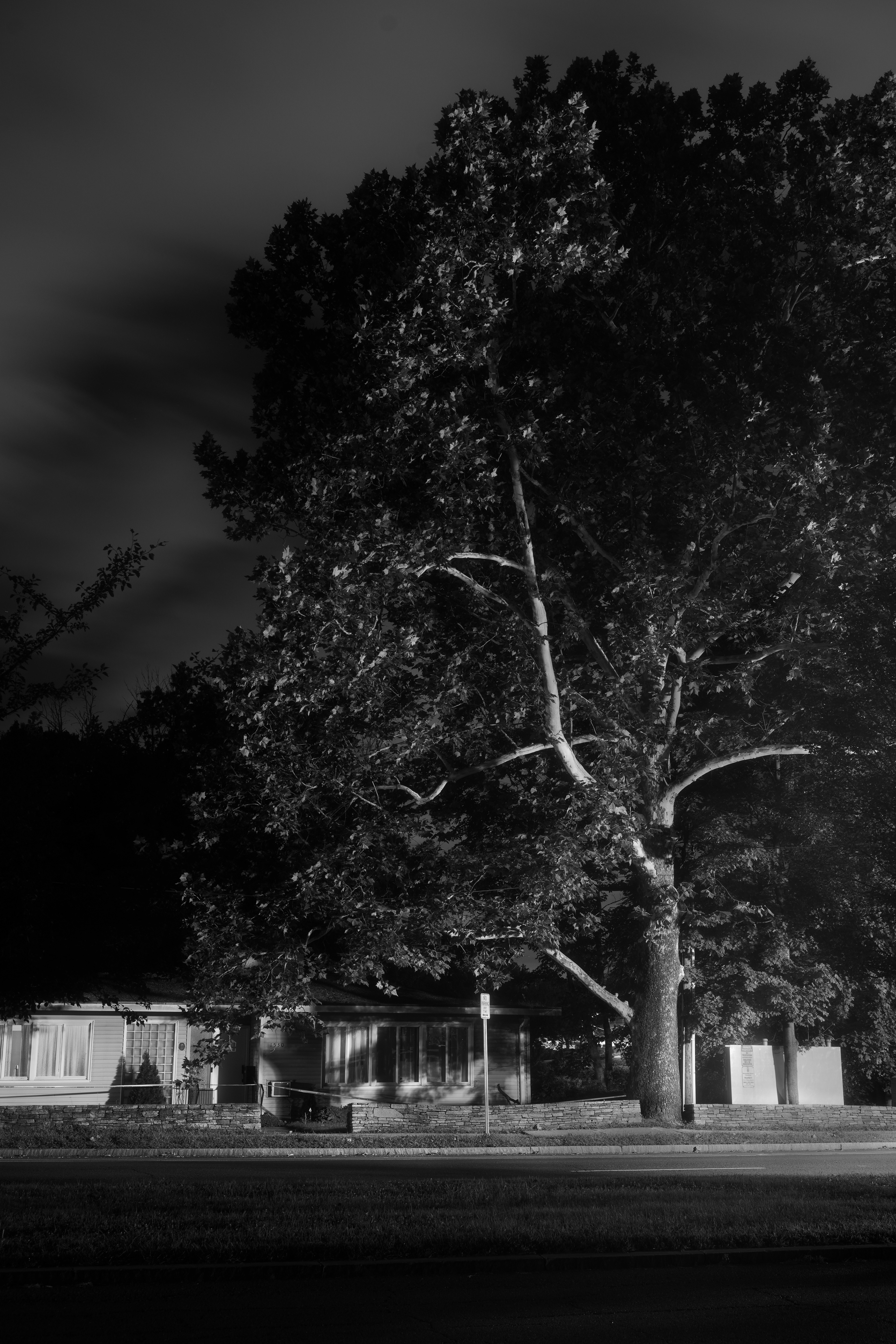 20260819-Exterior-0007-BW