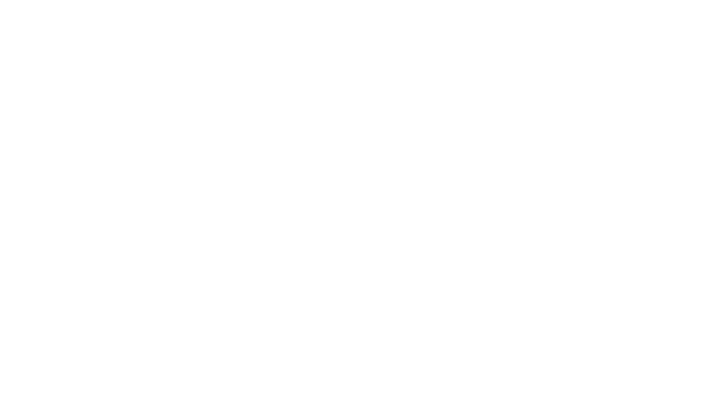 Leinu Brand Stu