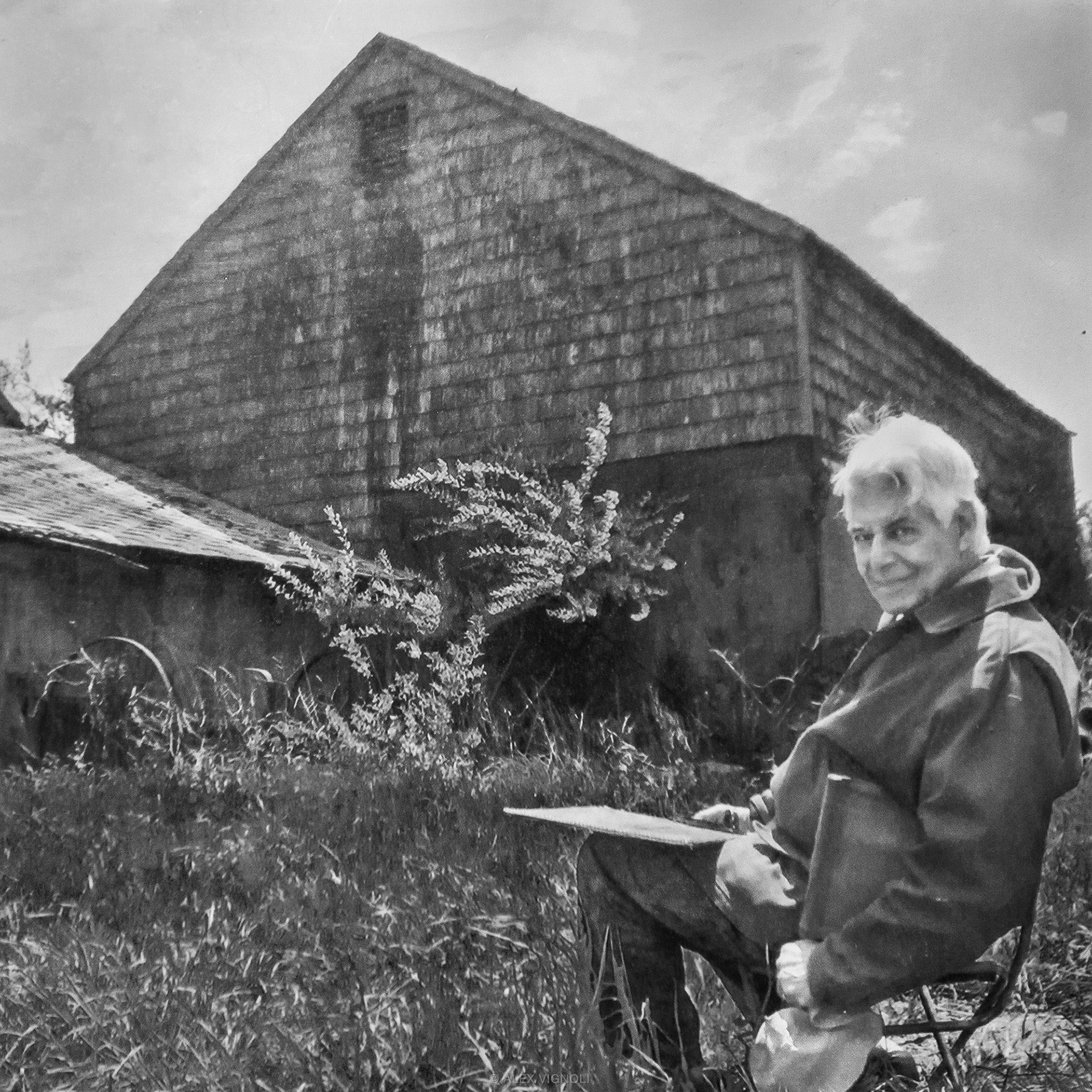 Wolf Kahn (artist)