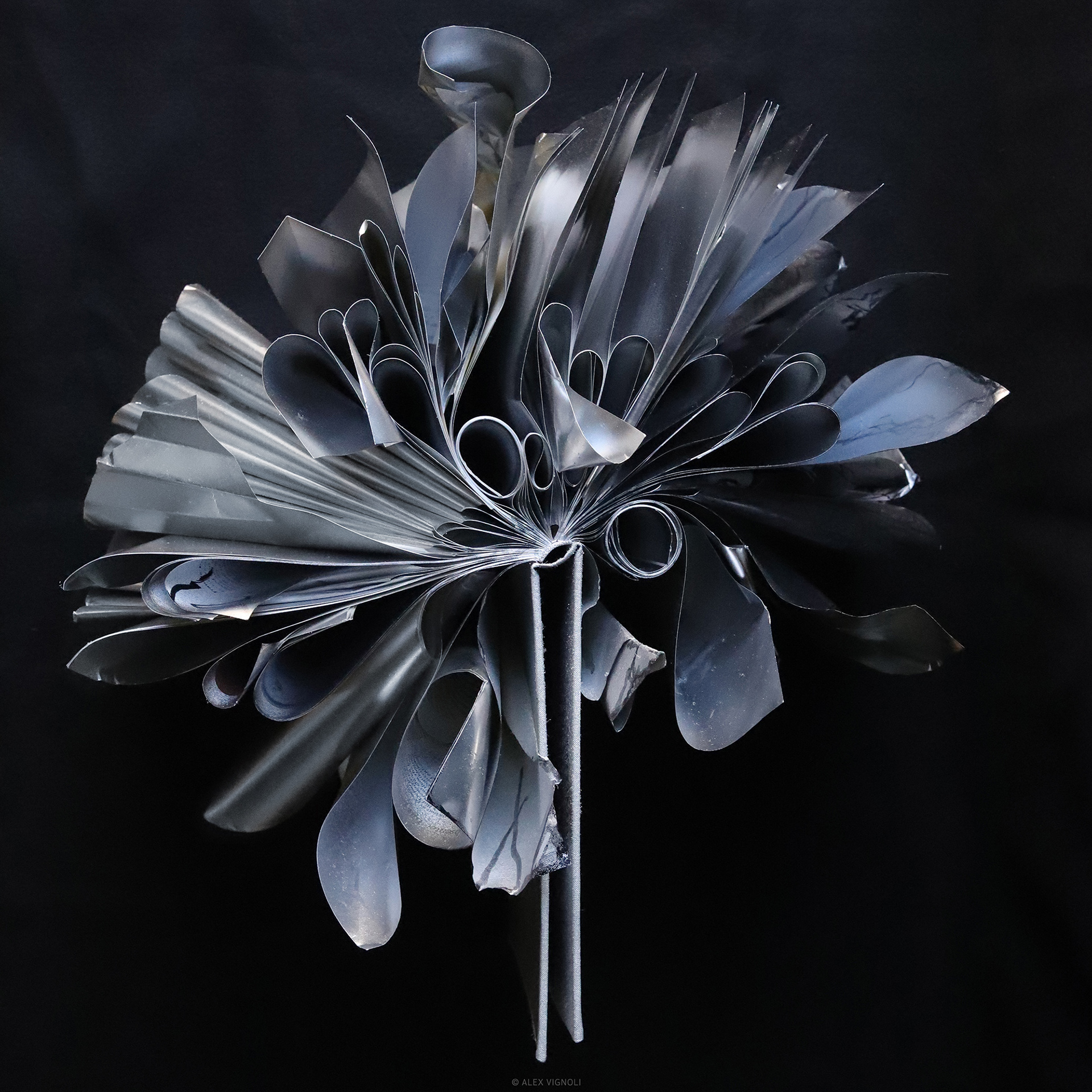 Silver 1