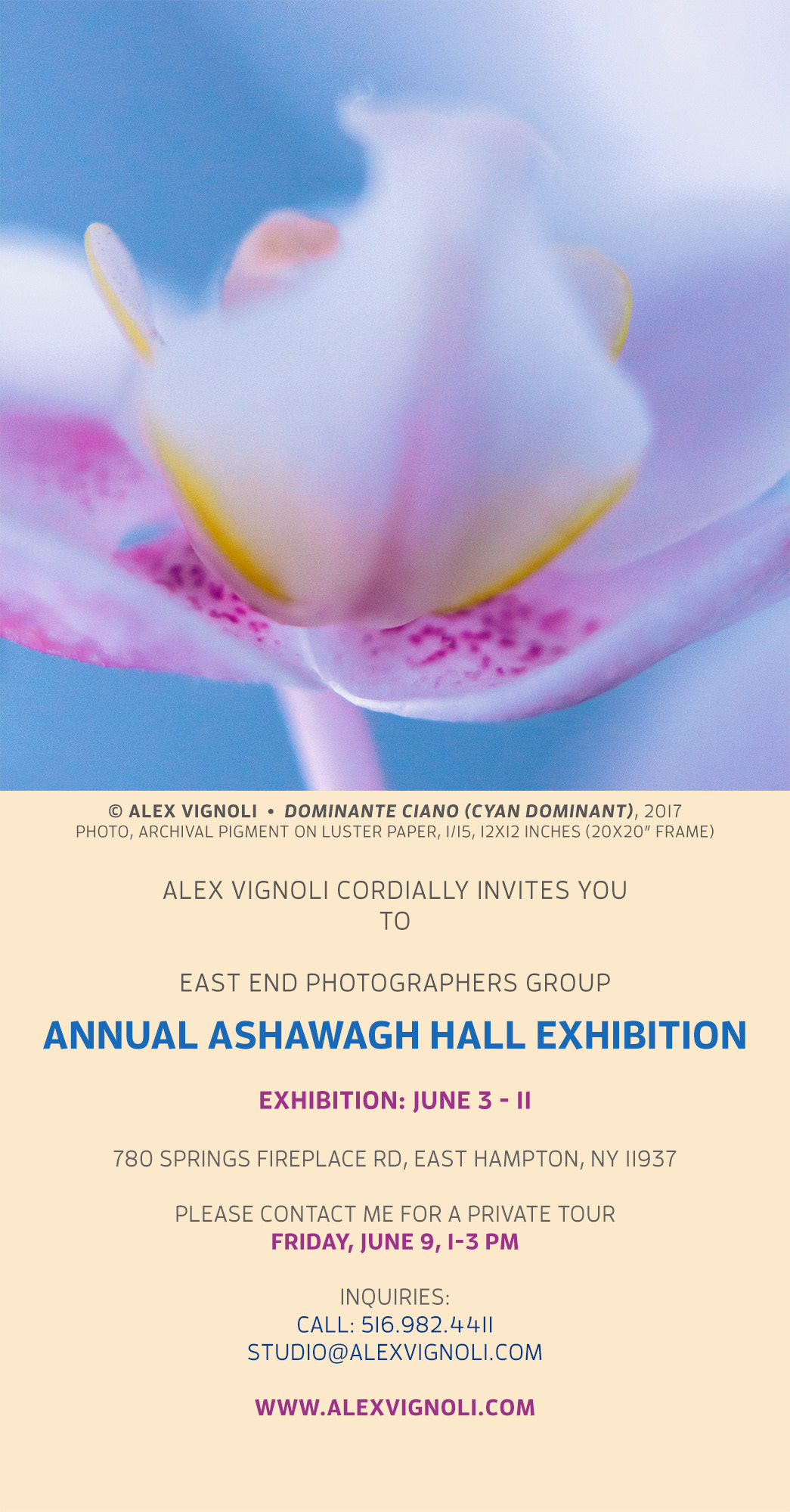 AV - Exhibition Announcement