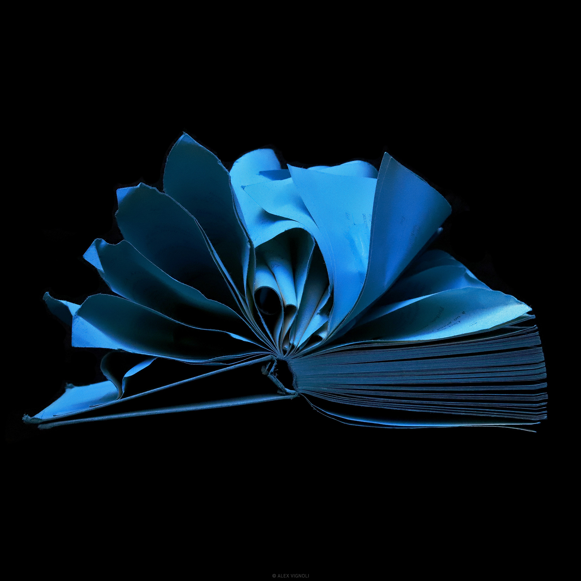 Blue 1 (in production)
