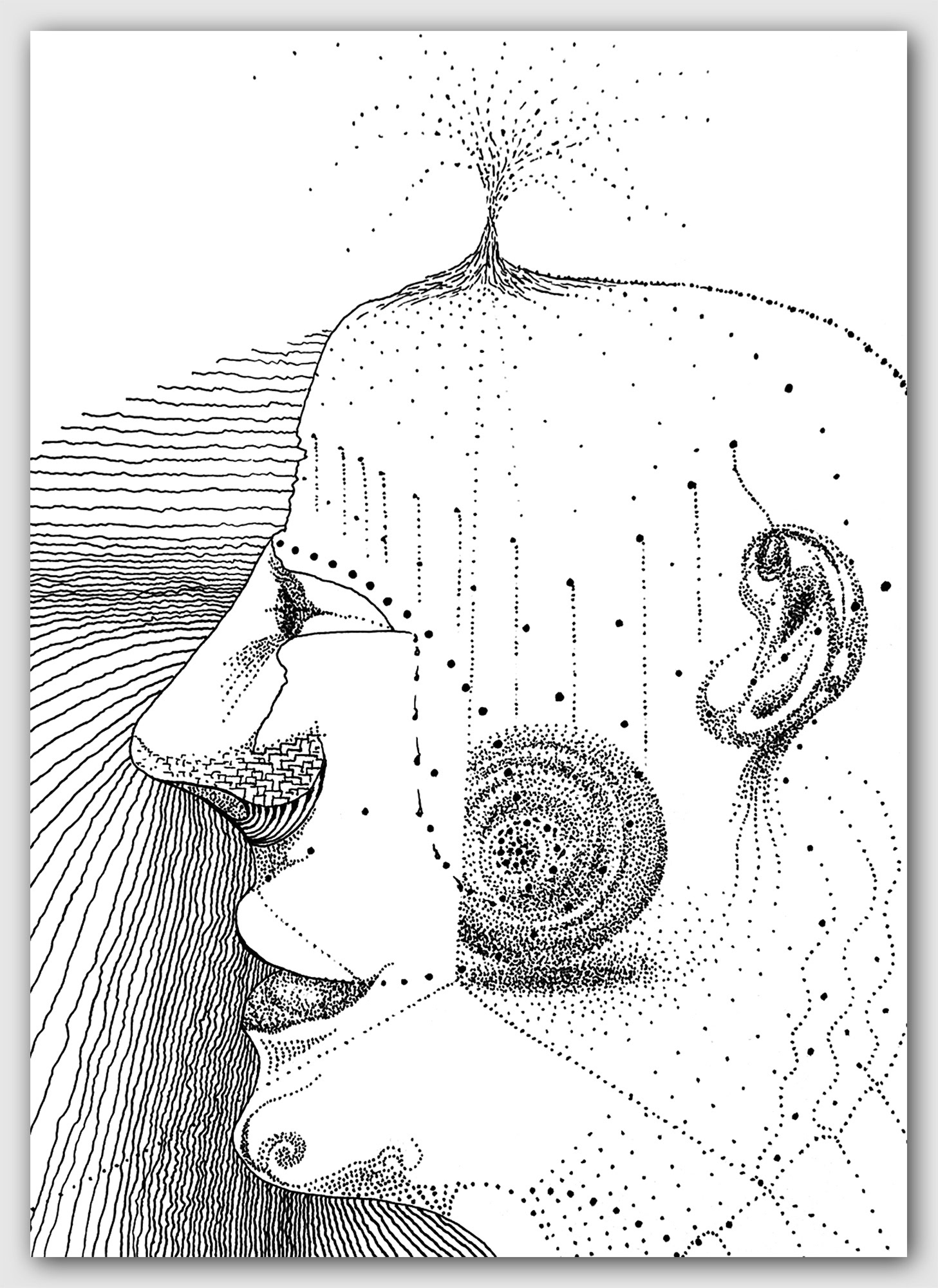 FACEvolution, 2023, ink on vellum paper