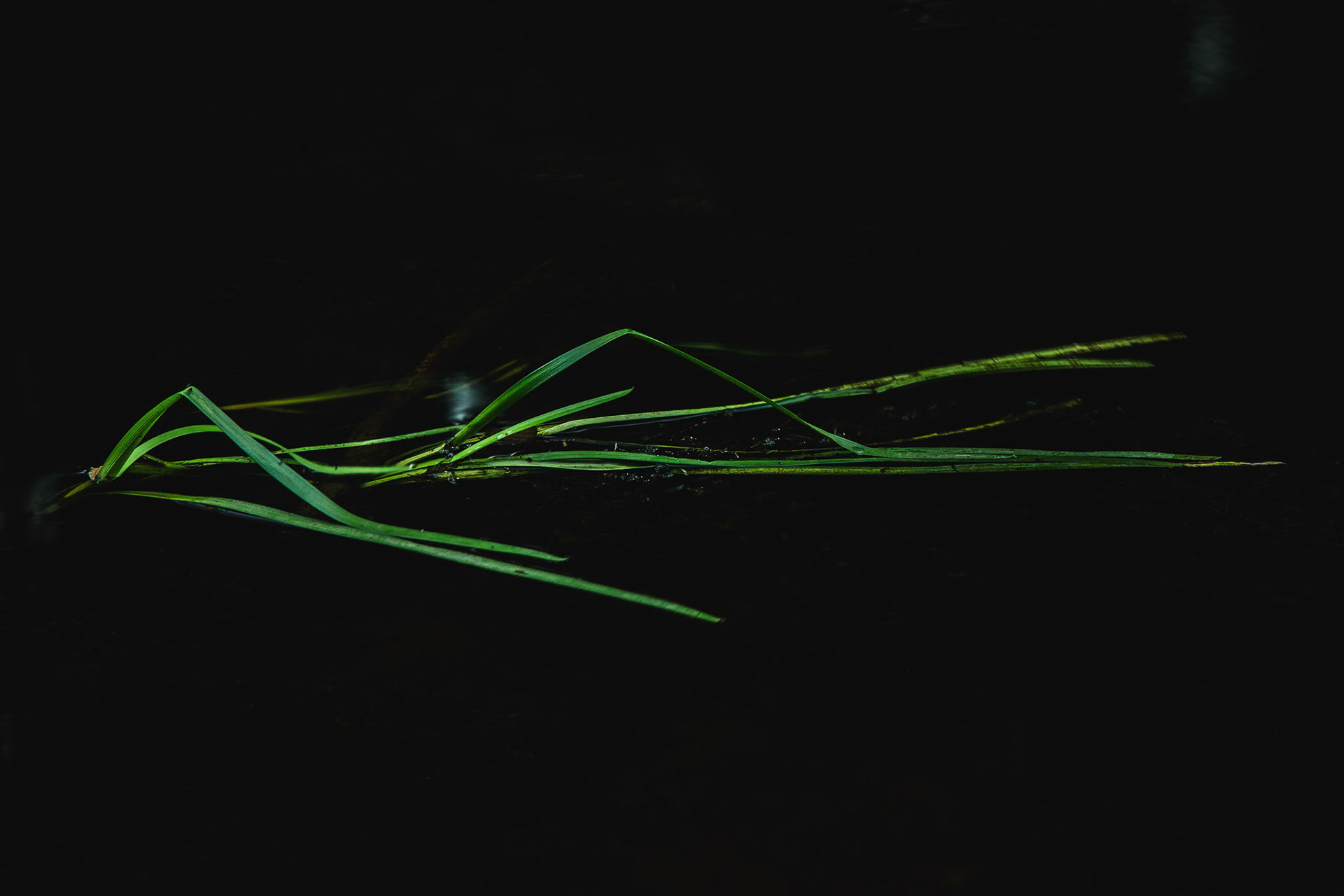 Reaching - 2024