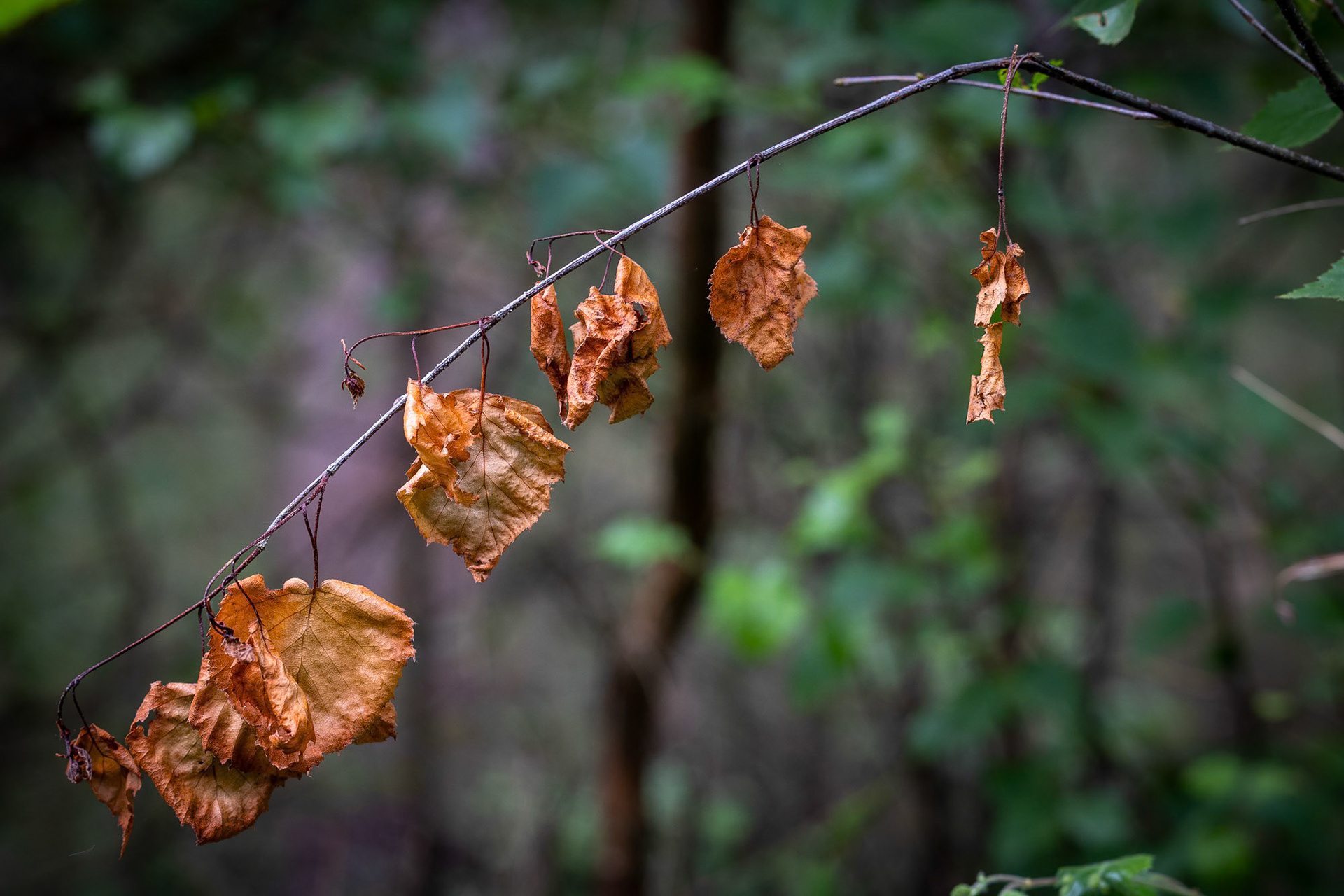 Hanging On - 2024
