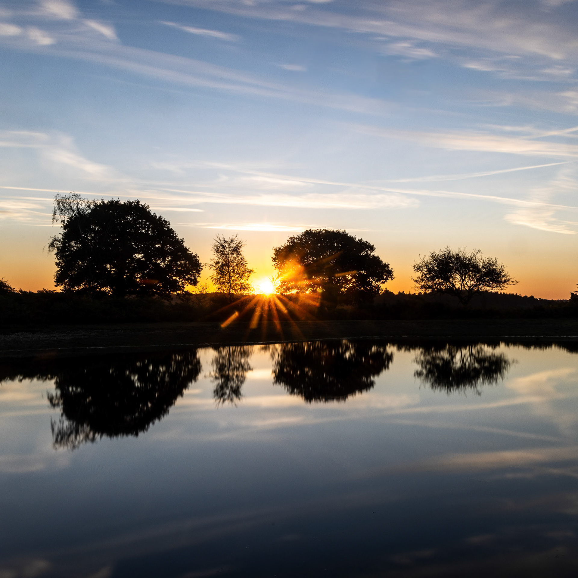 Morning Light - 2024