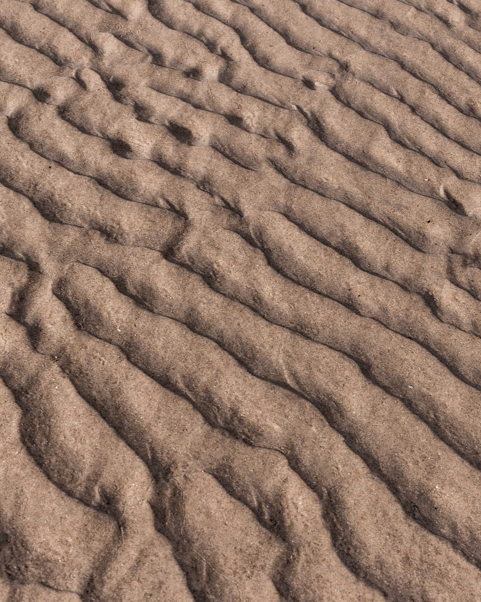 Ripples - 2024