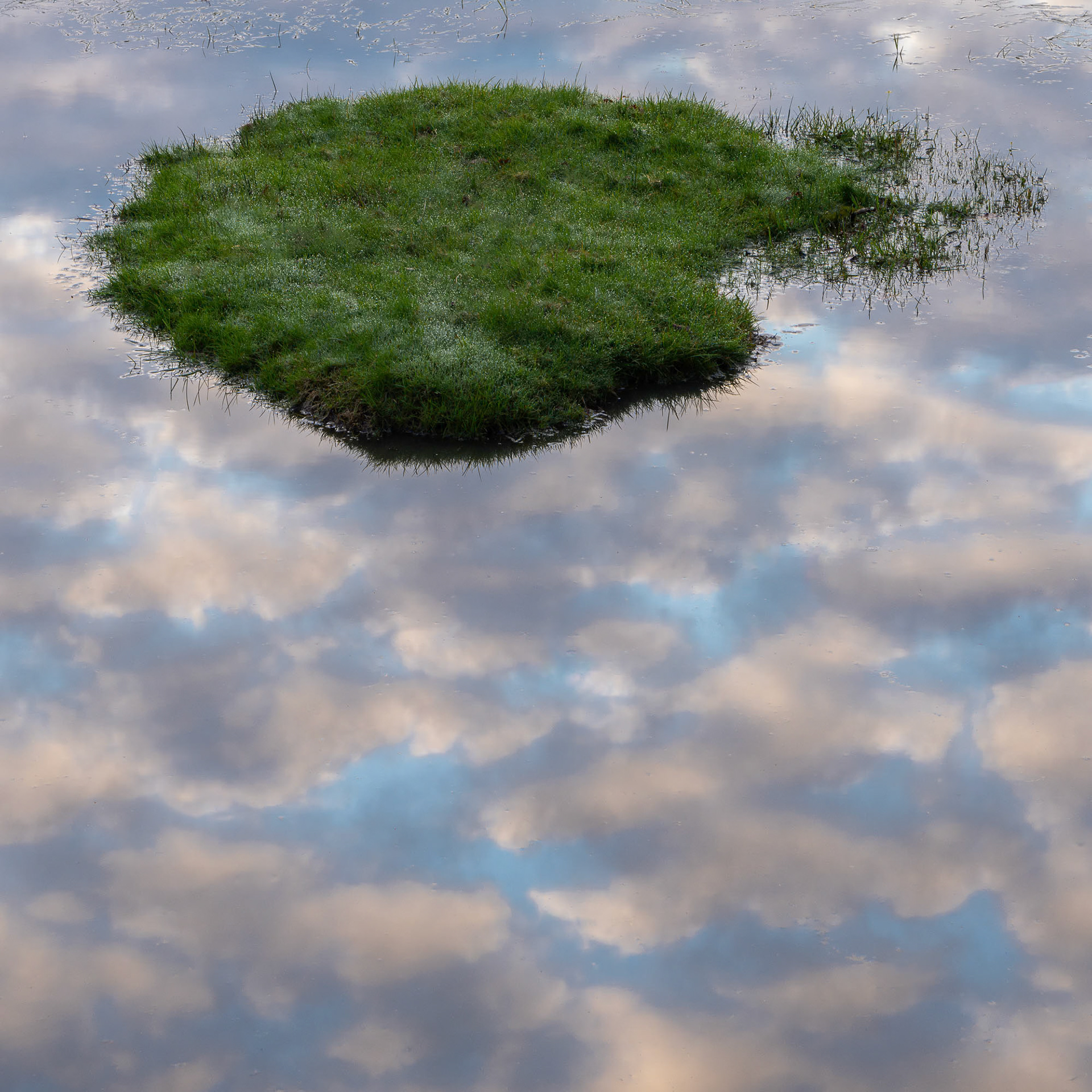 Island in the sky