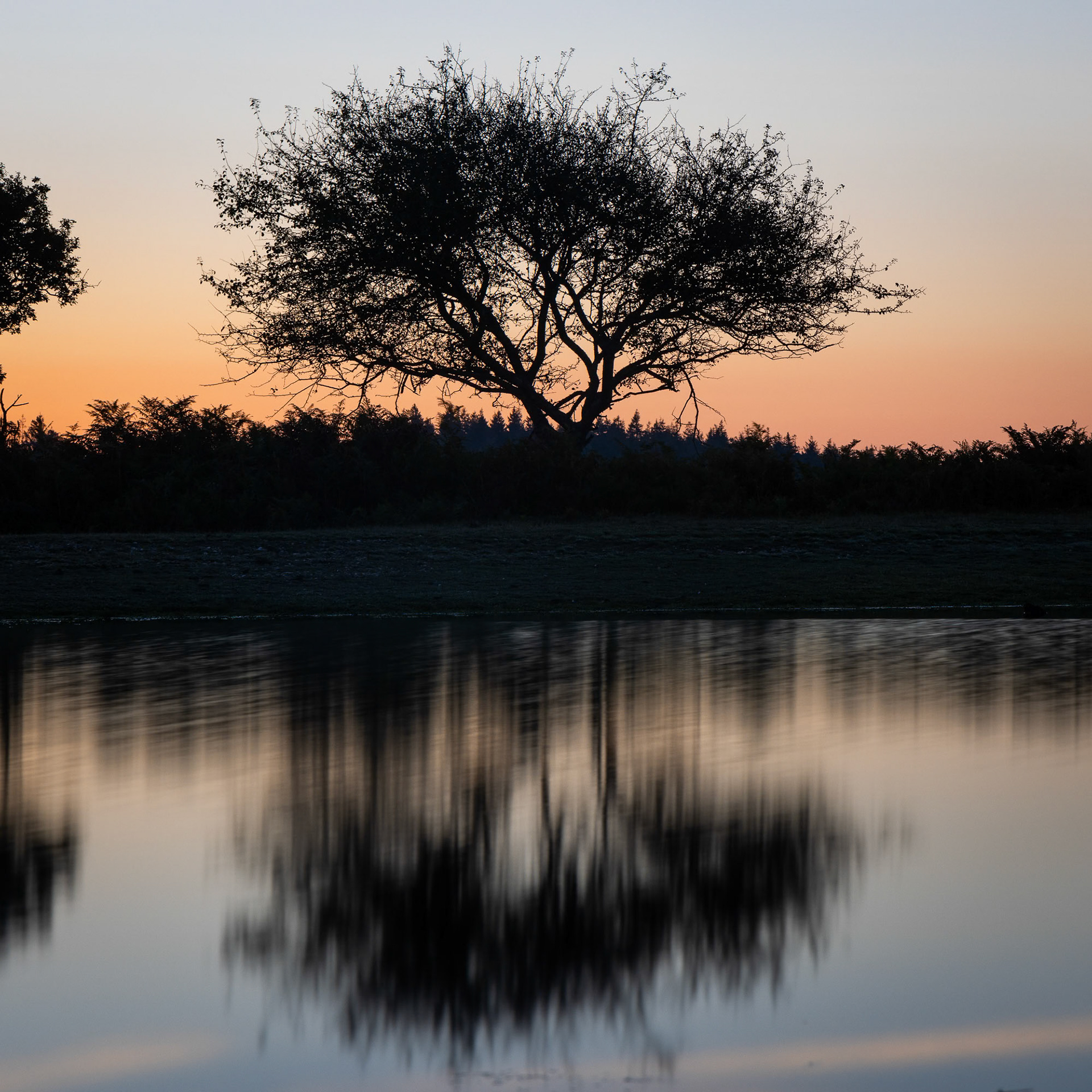 Sunrise Single - 2024