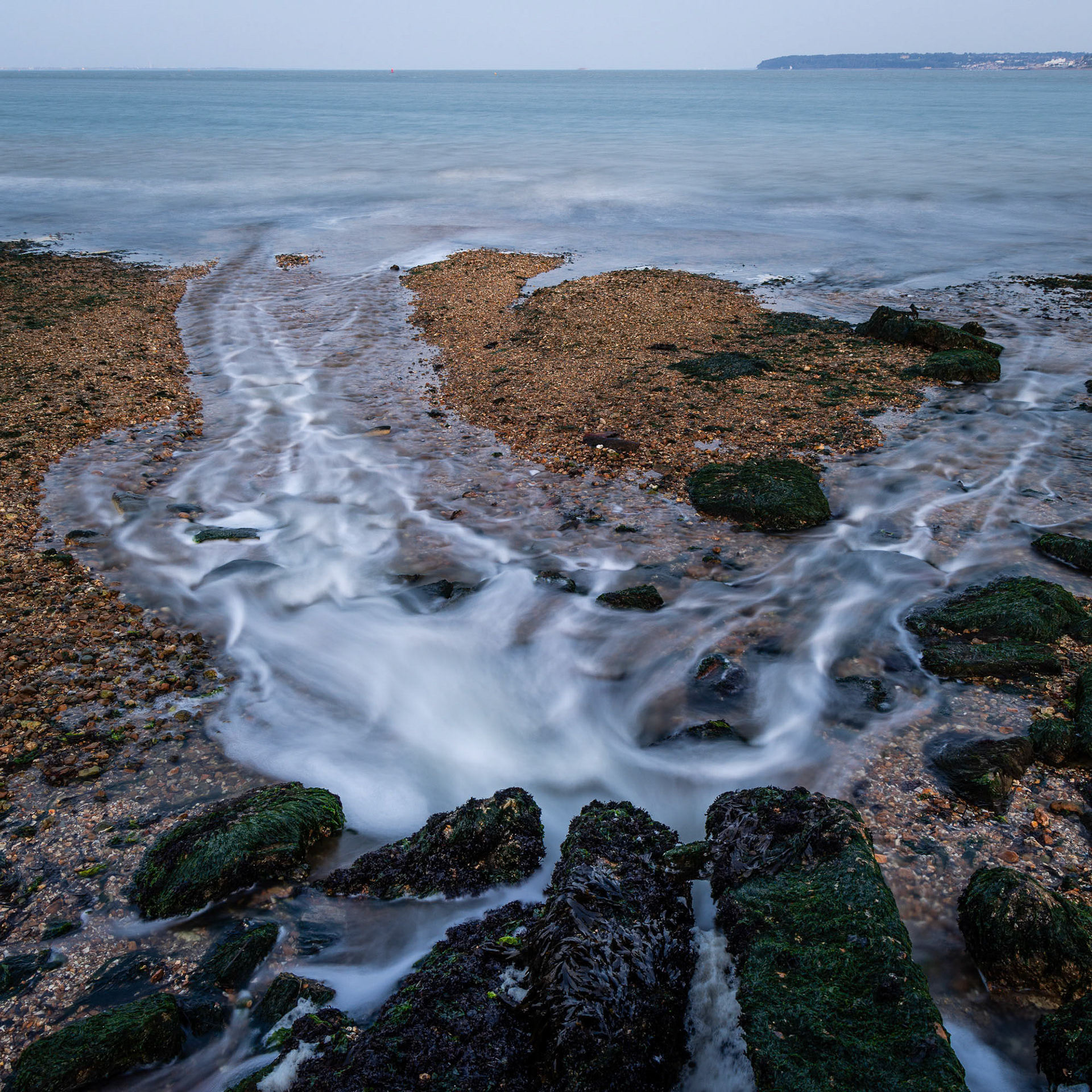 Running to the Sea - 2024