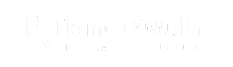 Elaine O’Mullane | SPIRITUAL horticulturalist