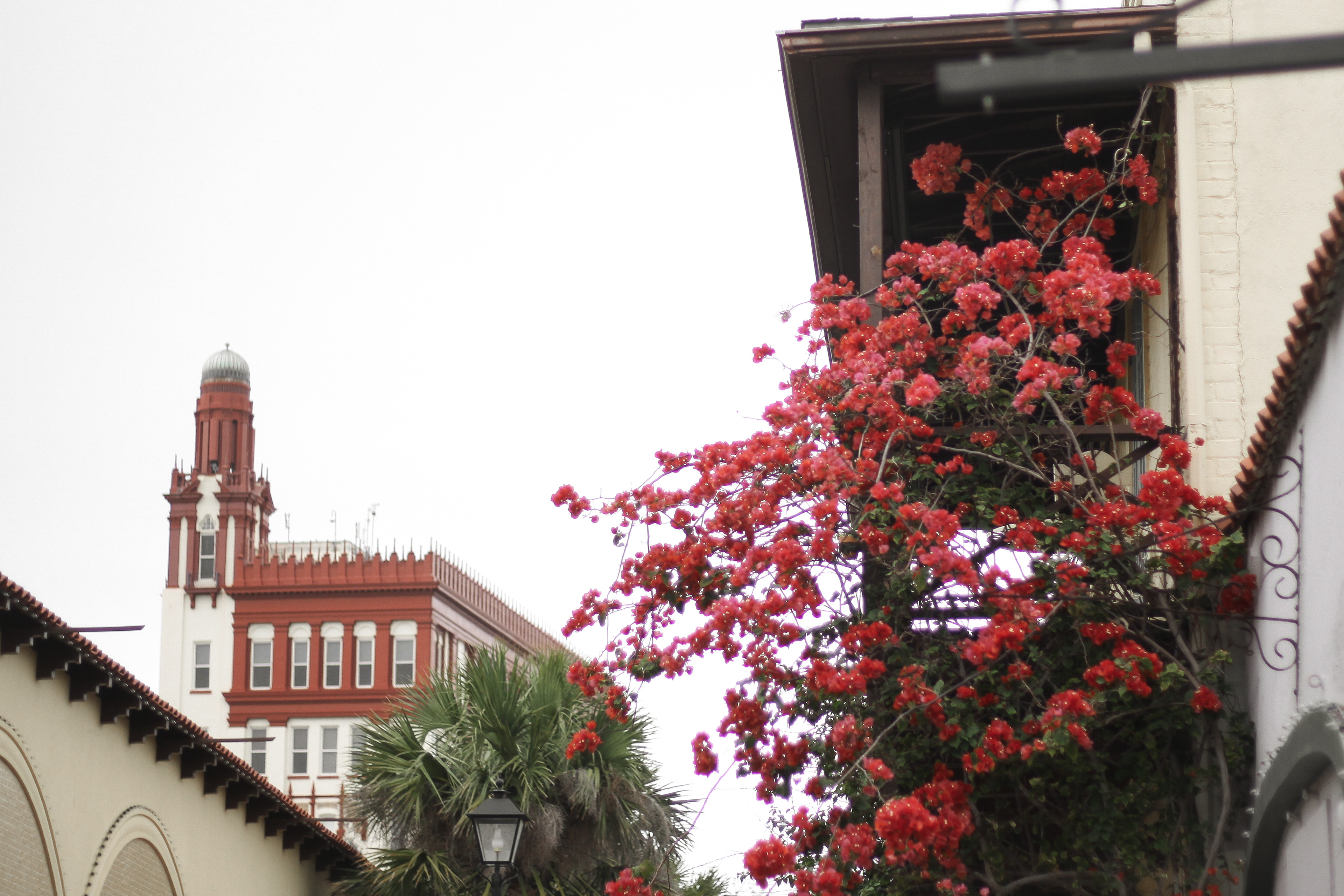 View of Flagler College from Historic Downtown St. Augustine