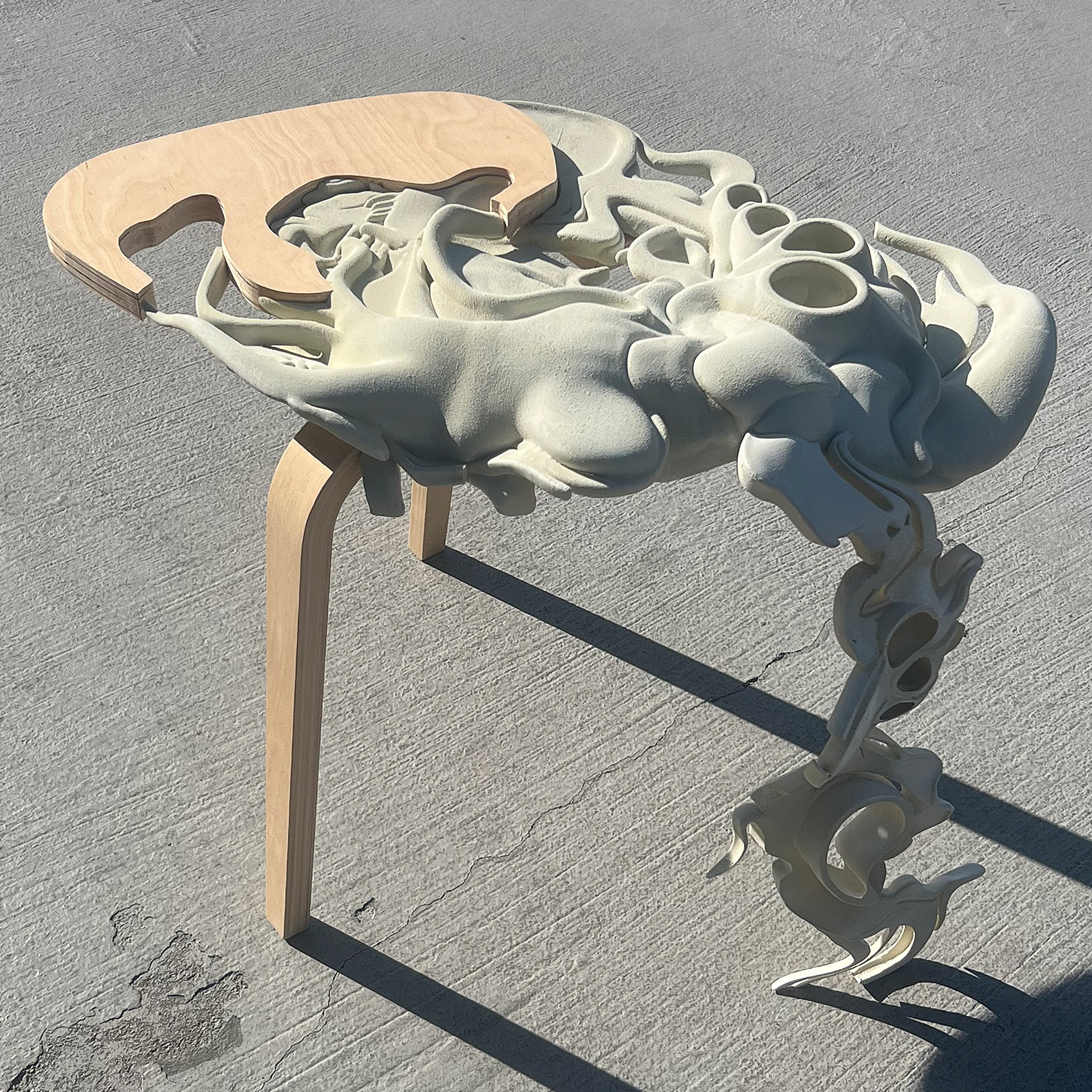 Partner: Werakul Srihahsan