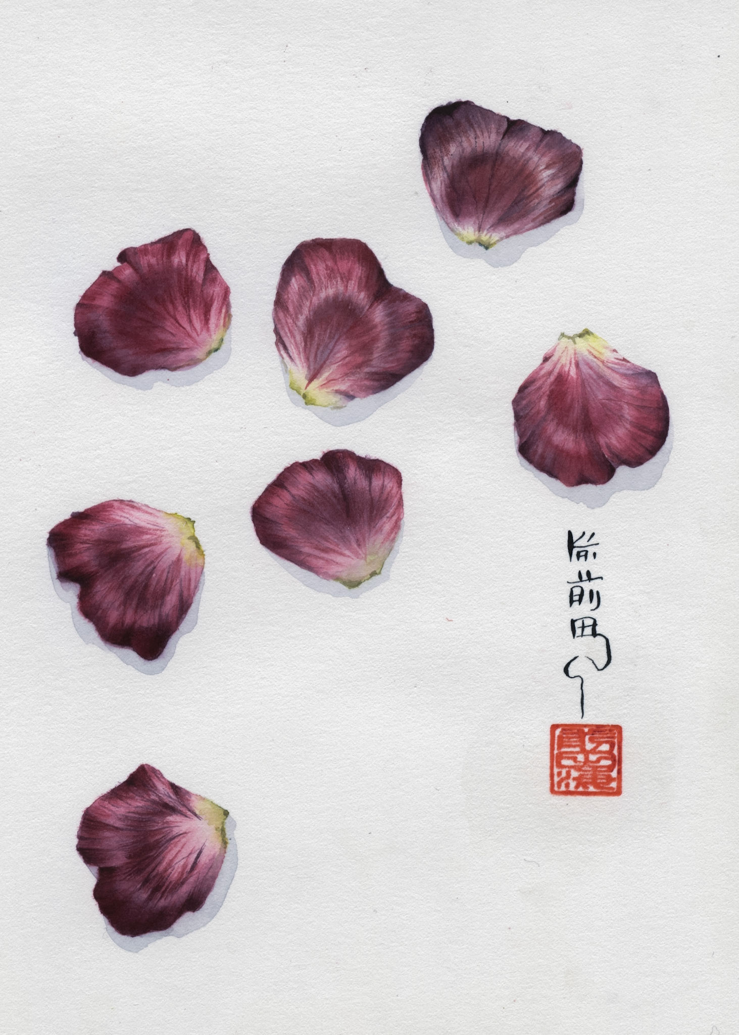 Seven petals | watercolor on paper | 5x7