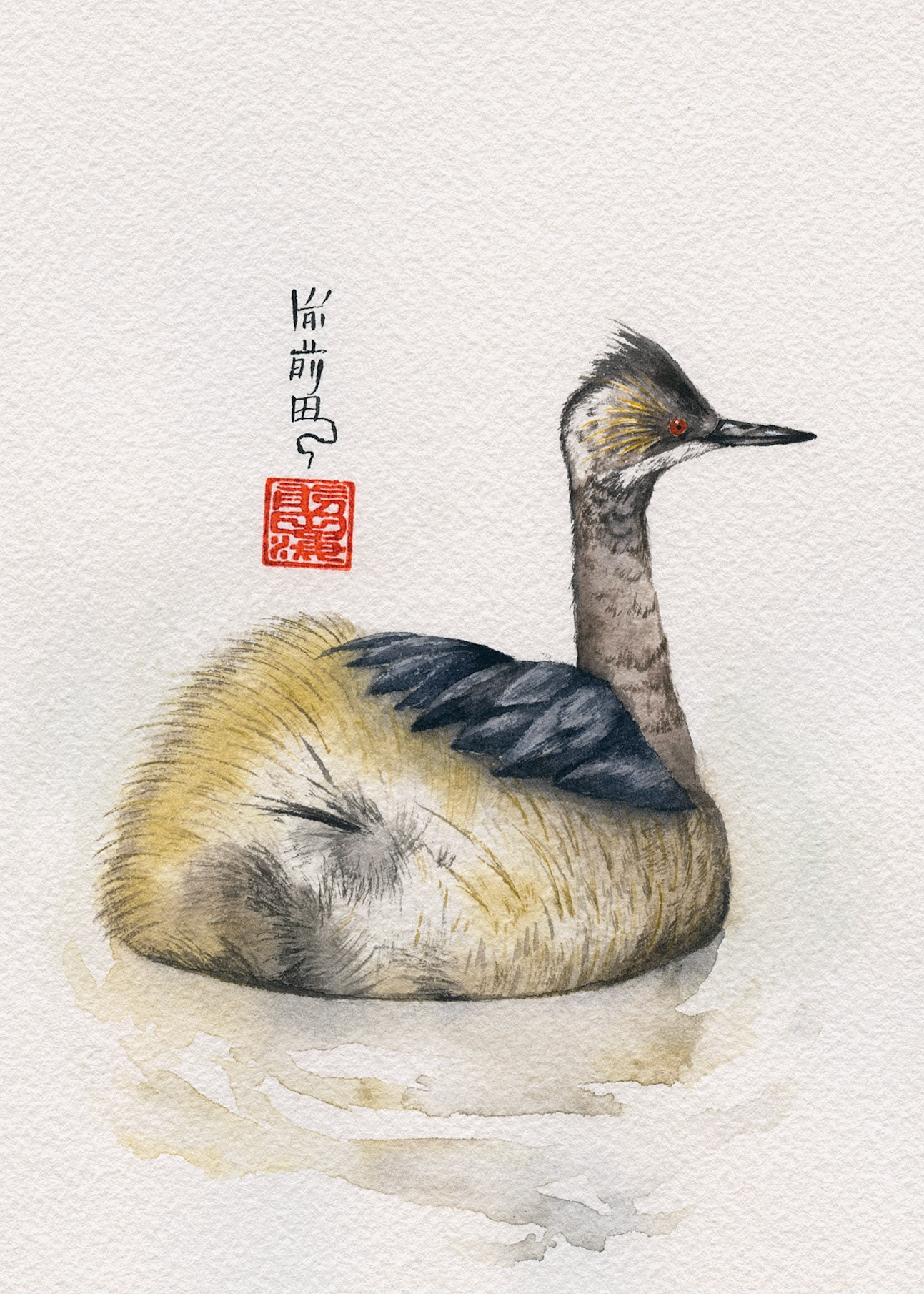 Eared Grebe | watercolor on paper | 5x7