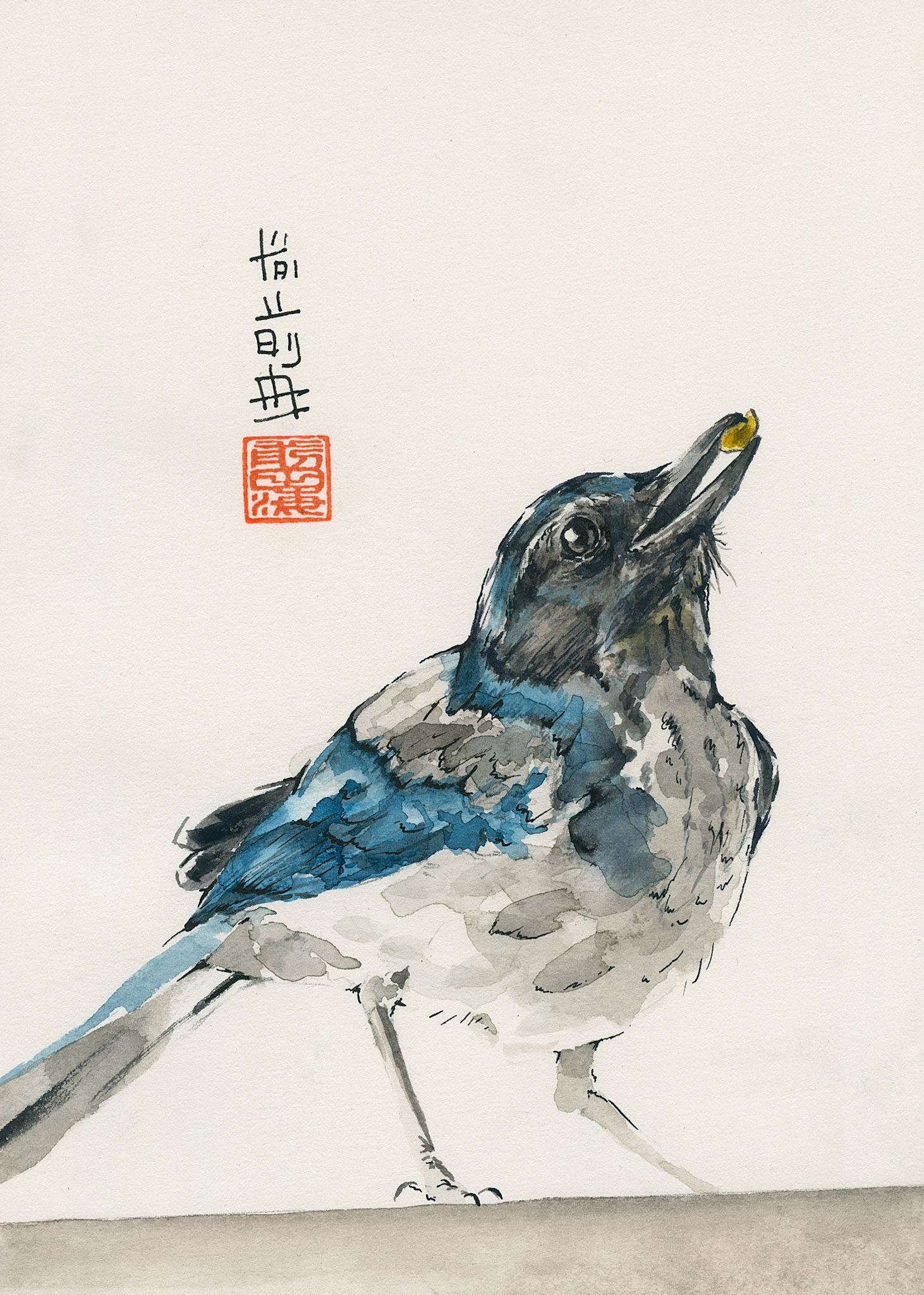scrub jay with peanut | watercolor on paper | 5x7