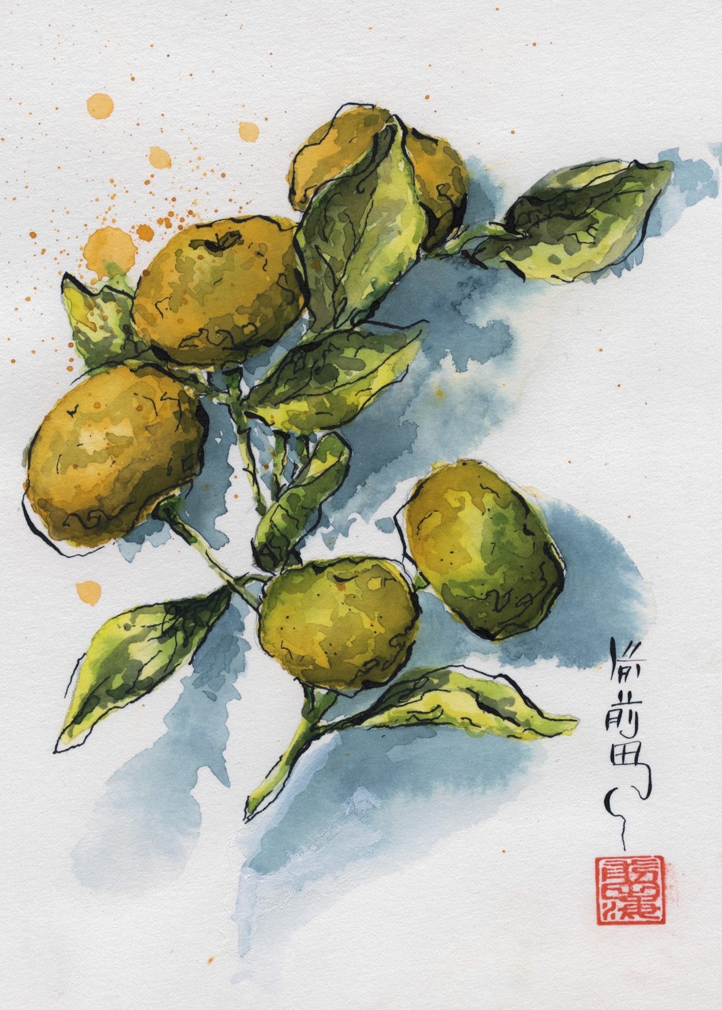 Fruit from my neighbors tree | watercolor and ink on paper | 5x7