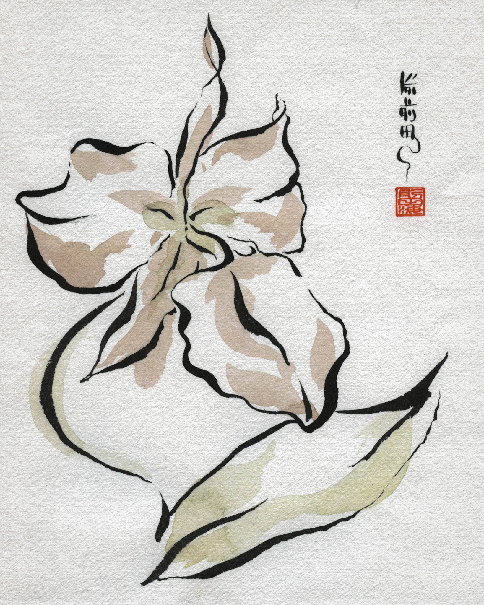 Bloom | watercolor and ink on paper | 8x10