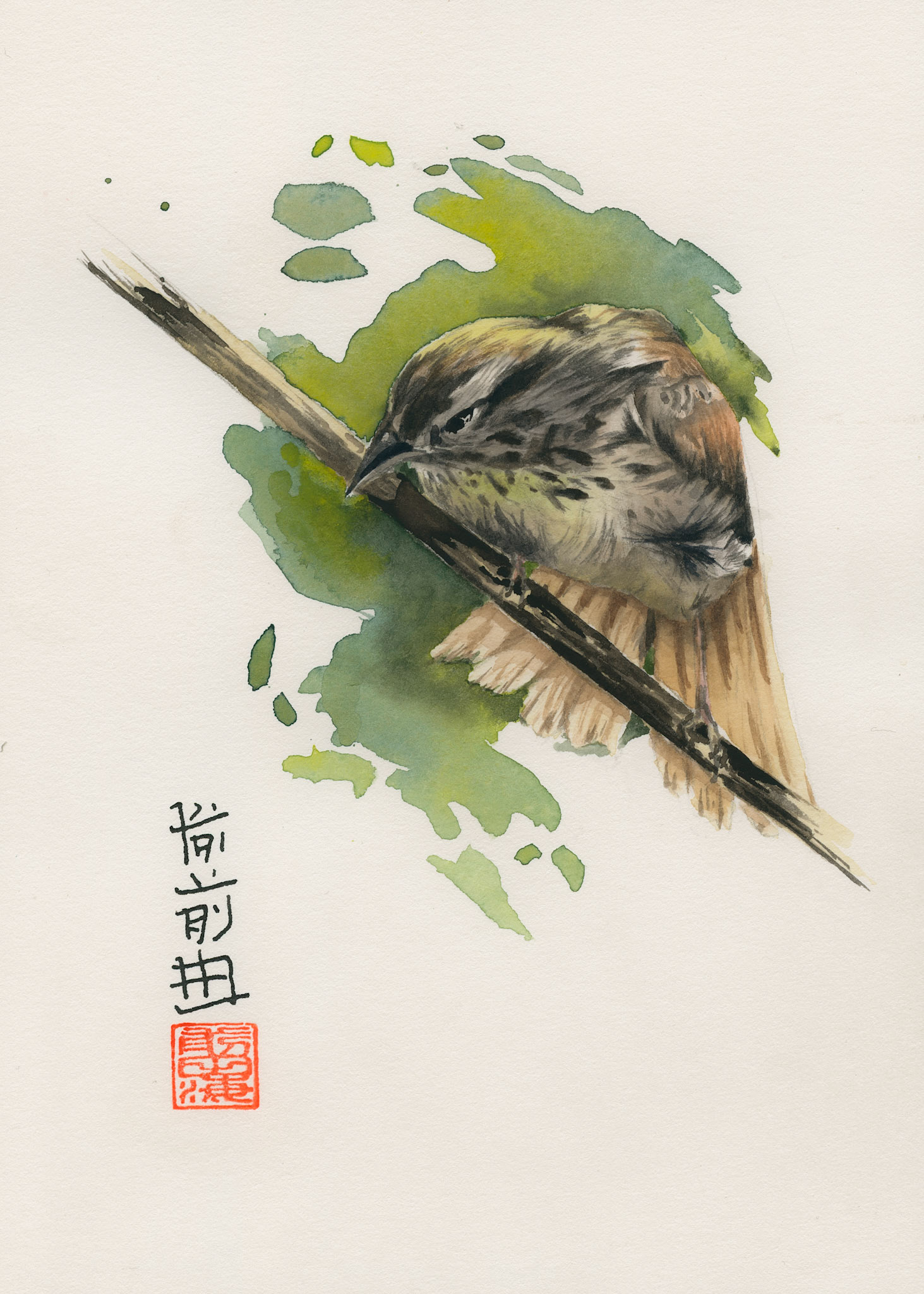 perched sparrow | watercolor on paper | 5x7