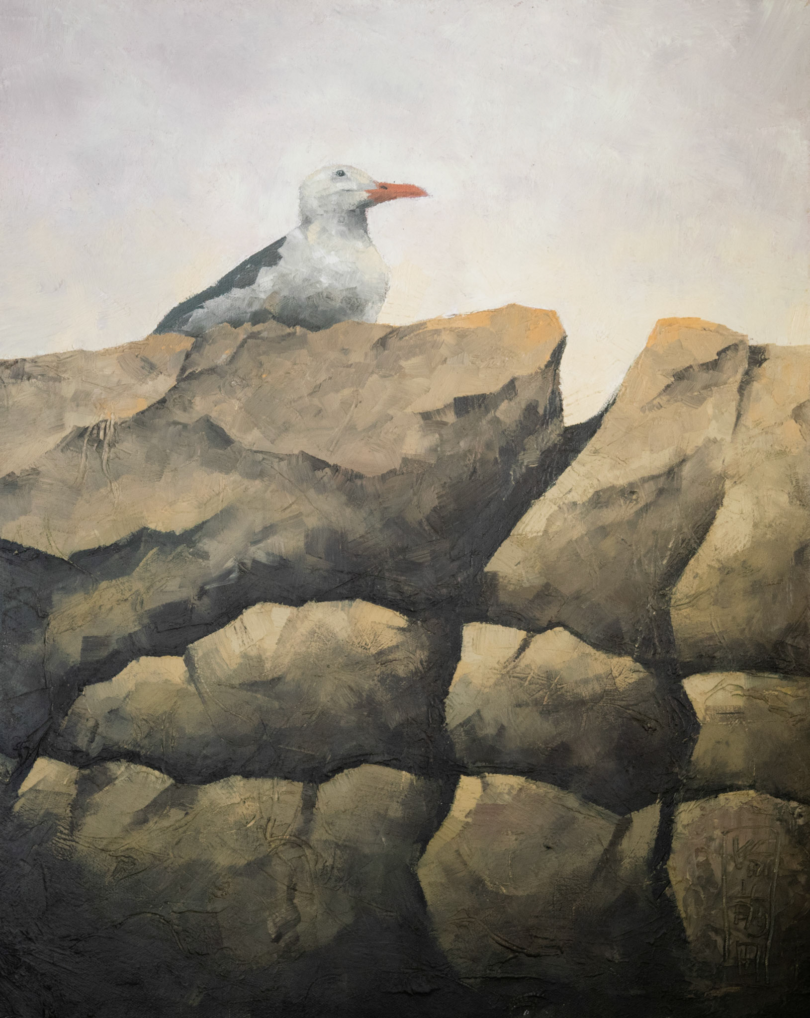 Morning gull | oil on canvas | 16x20