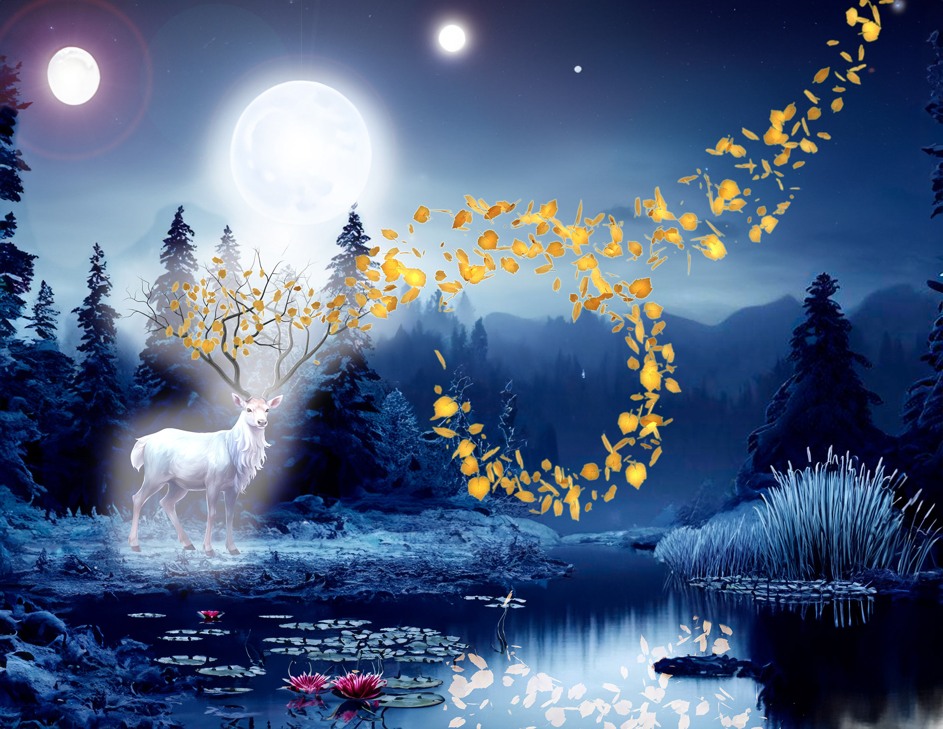 Midnight Wisp 10-28-2023