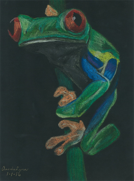 Mr. Froggy - Pastels