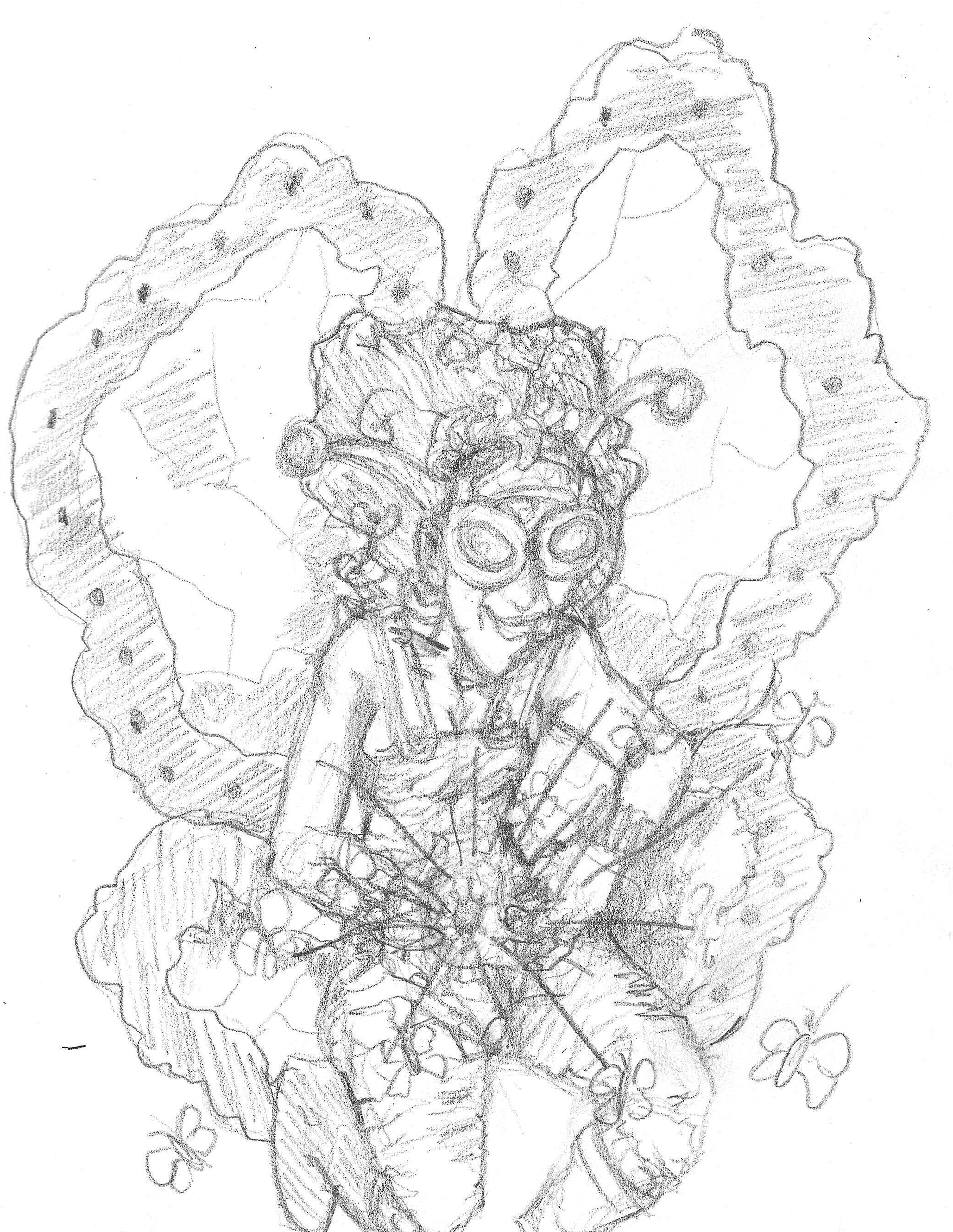 Butterfly3
