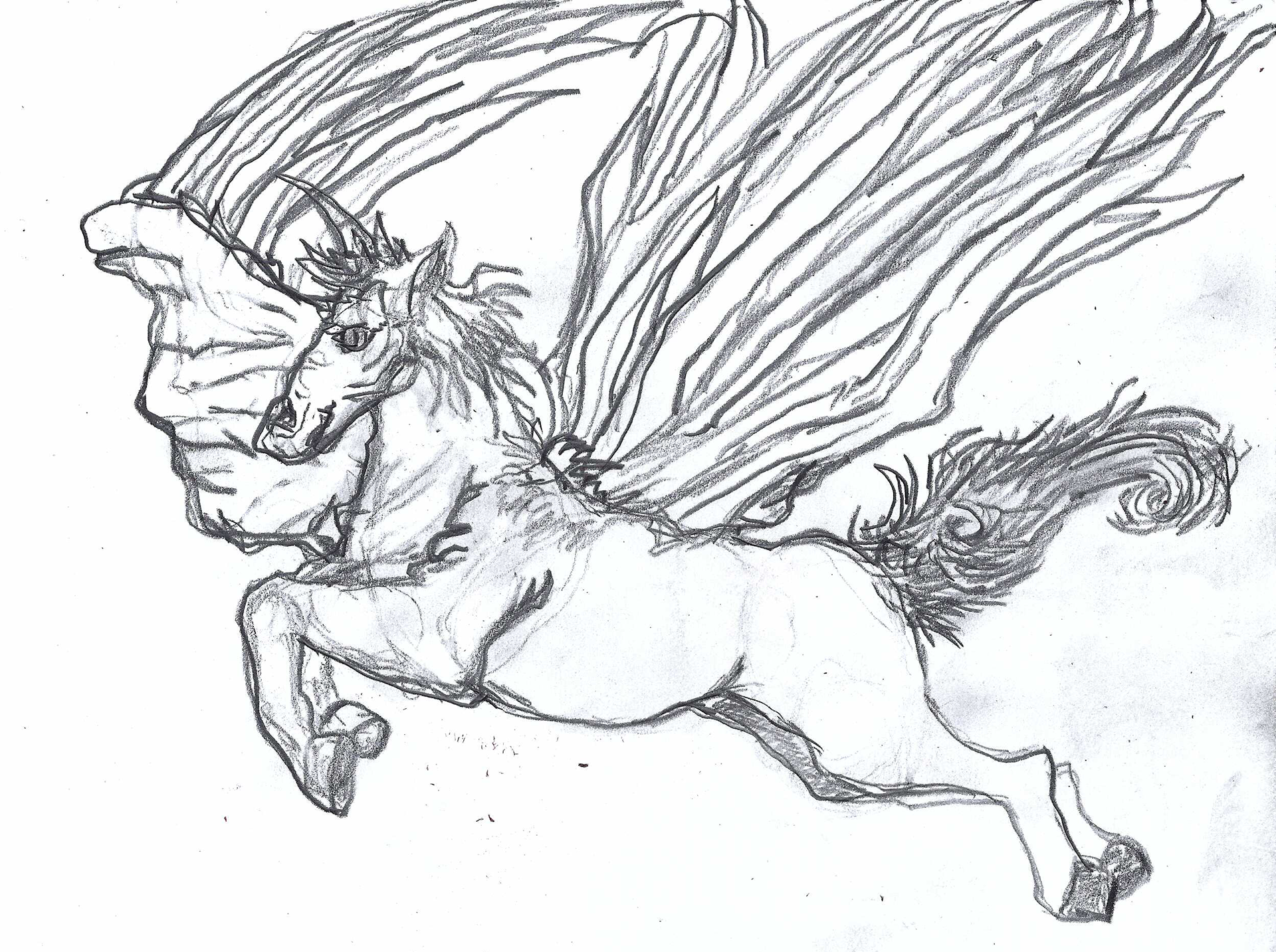 innitial sketch