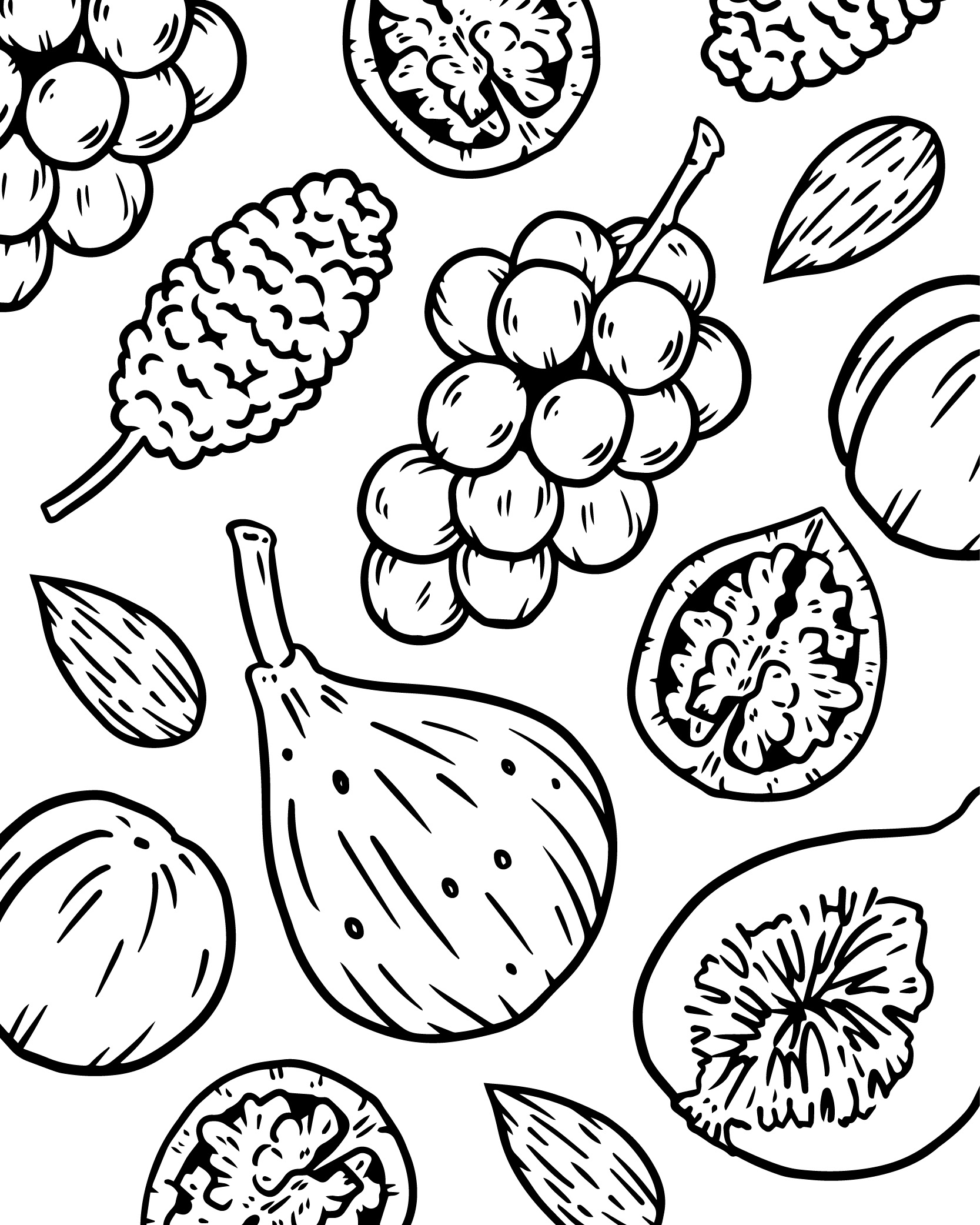 ドライフルーツとナッツのイラスト