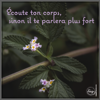 YVAN EMONIDES Corps, 2021–2025, Série Prends le temps. Photographie numérique et infographie sur Alucobond, 30 x 30 cm / 80€