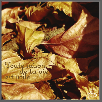 YVAN EMONIDES Saison, 2021–2025, Série Prends le temps. Photographie numérique et infographie sur Alucobond, 30 x 30 cm / 80€