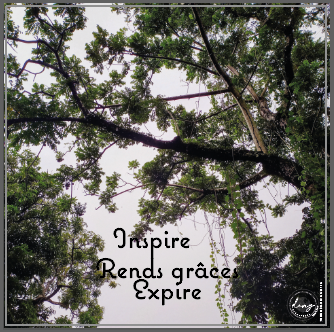 YVAN EMONIDES Inspire, 2021–2025, Série Prends le temps. Photographie numérique et infographie sur Alucobond, 30 x 30 cm / 80€