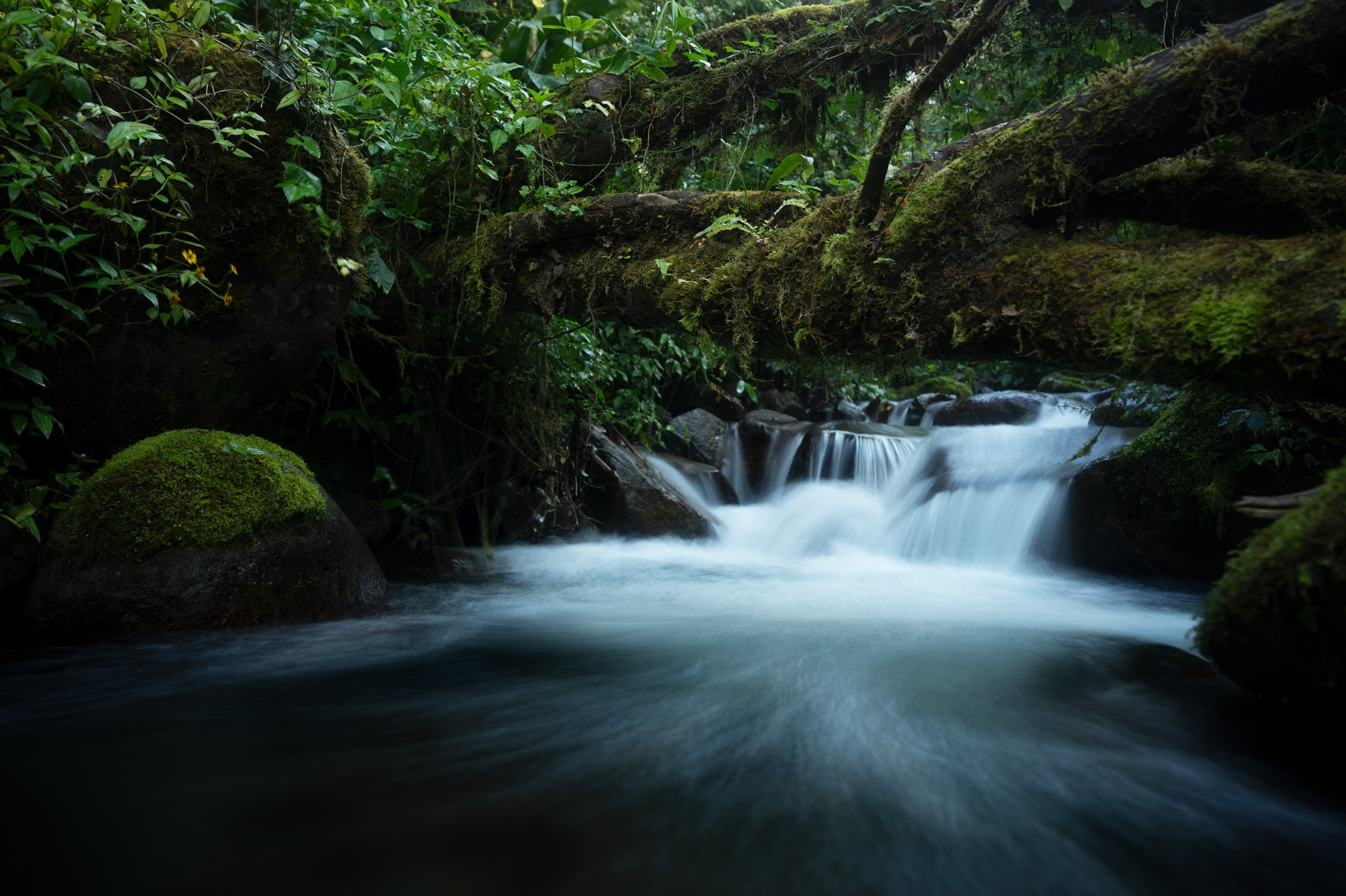 Vattenfall, naturfoto, peteringal.com, Peter Ingal Photography, fotograf i Stockholm