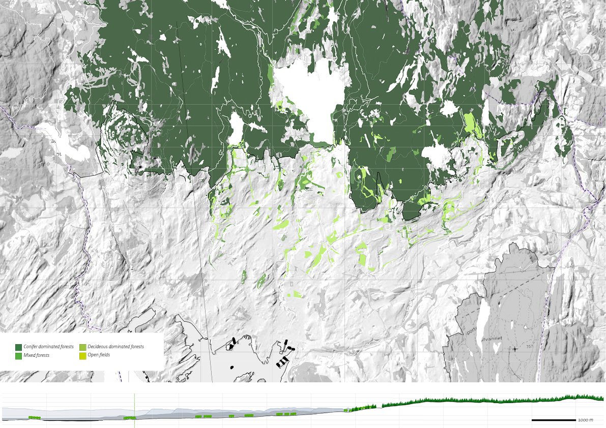 Granskog, løvskog og gran- og løvskog