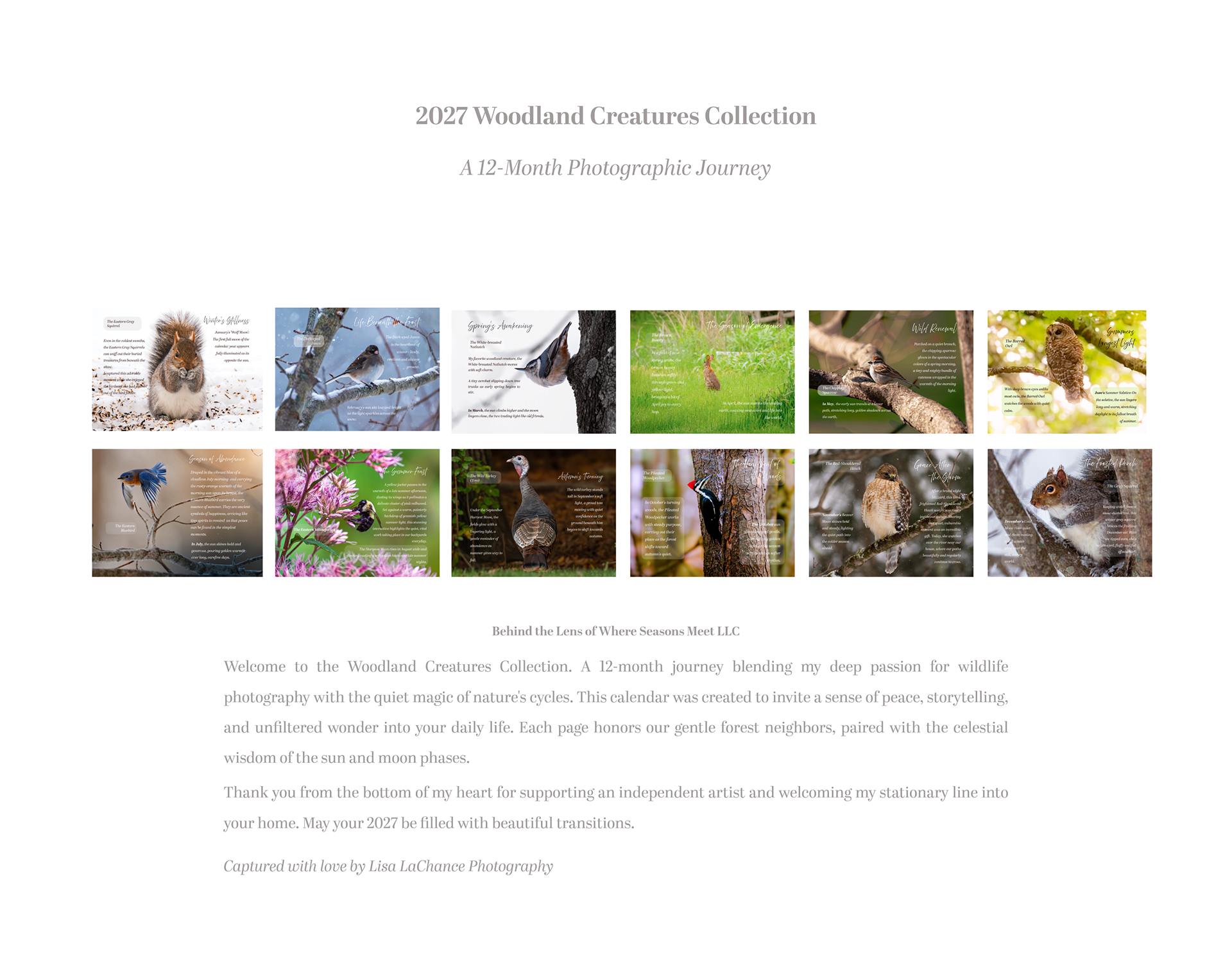 2027 Wildlife Calendar - The Woodland Creatures Collection / Back Cover