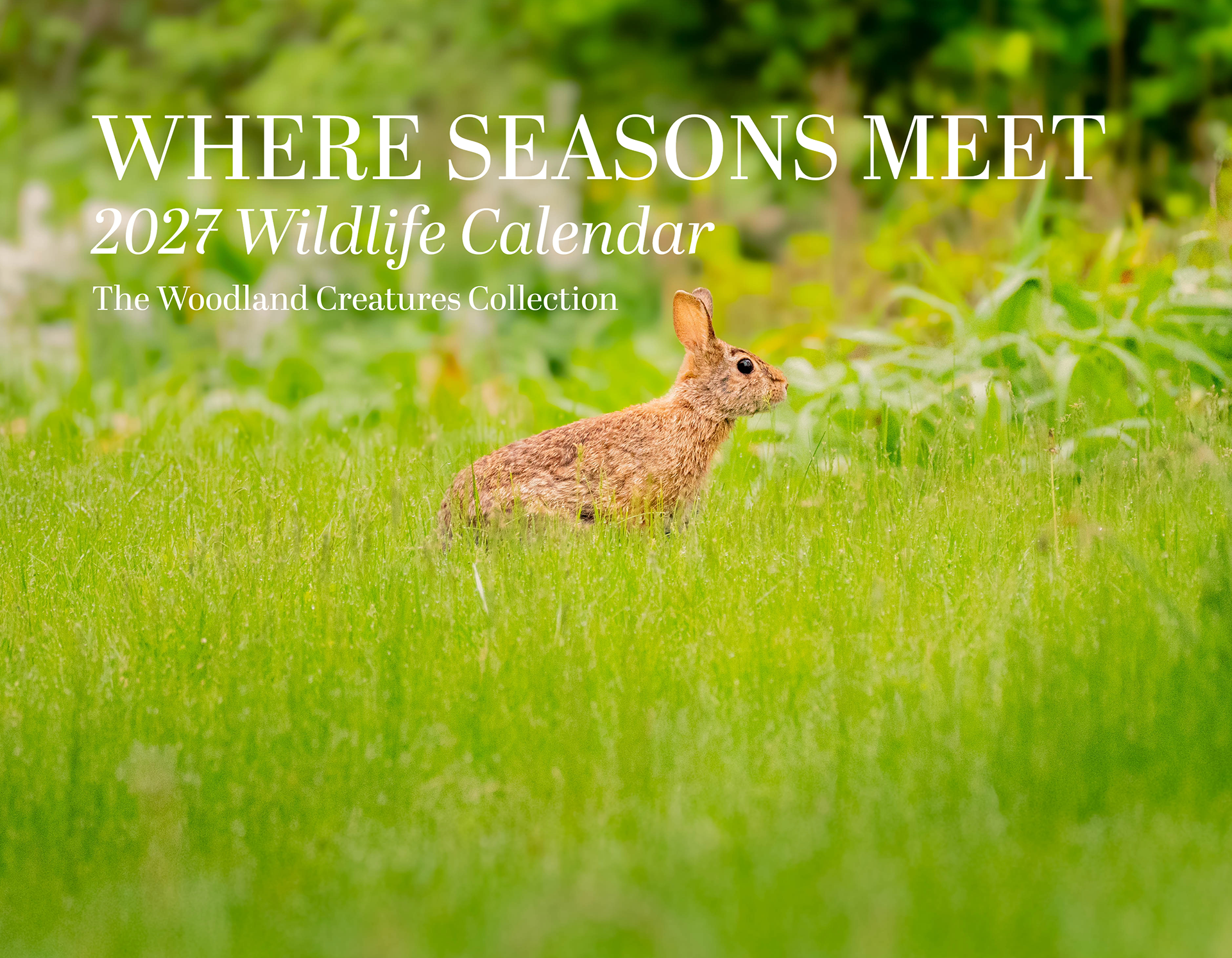 2027 Wildlife Calendar - The Woodland Creatures Collection / Front Cover