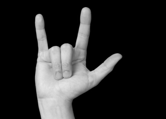 American Sign Language for "I love you"