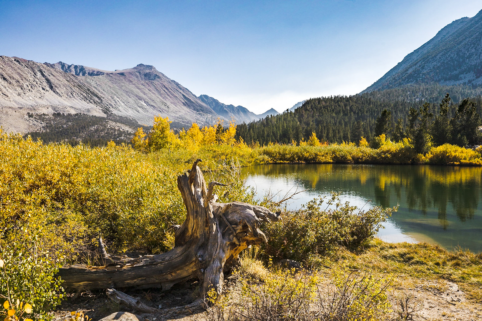 Hilton Lakes Trail Pond