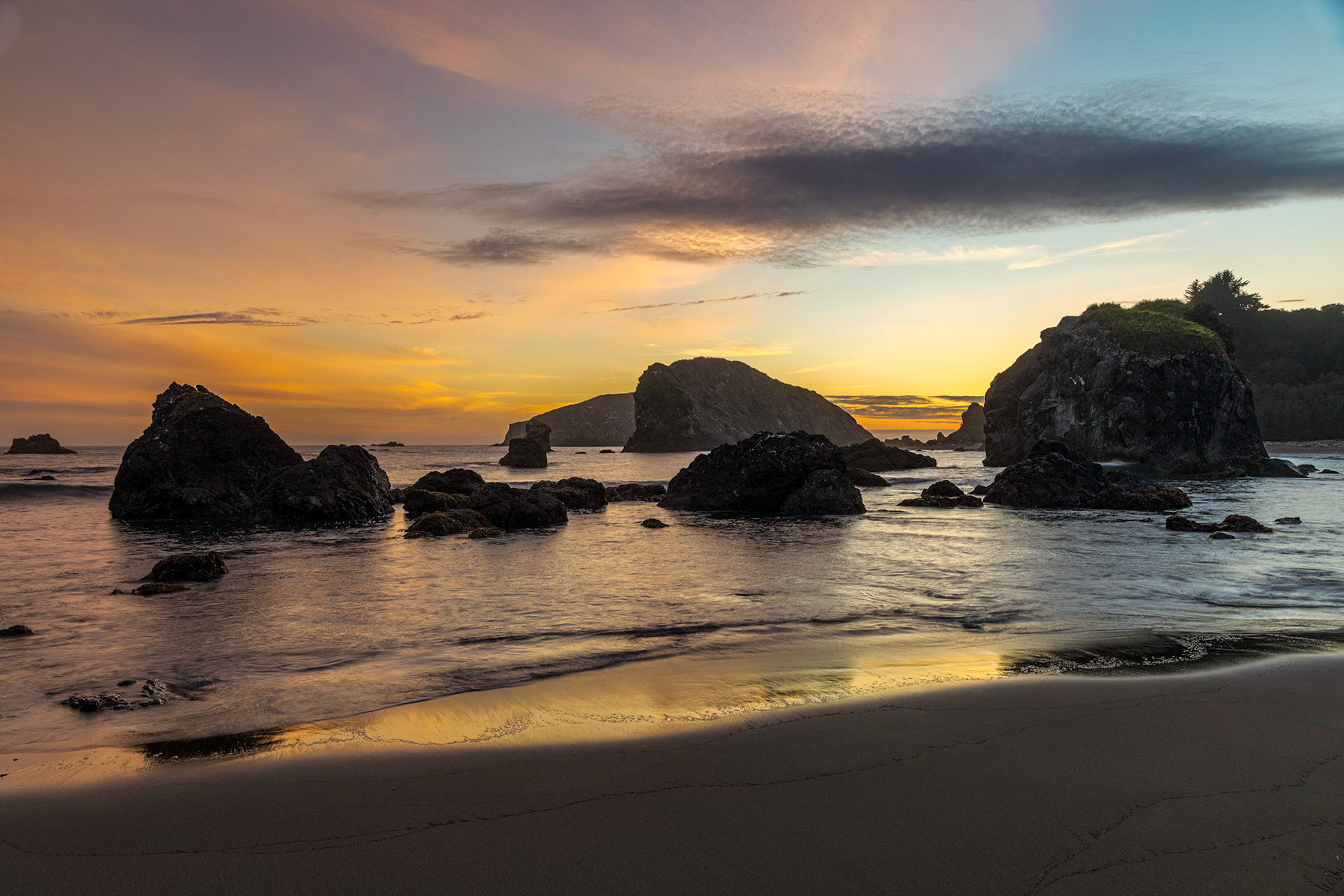 Harris Beach State Park