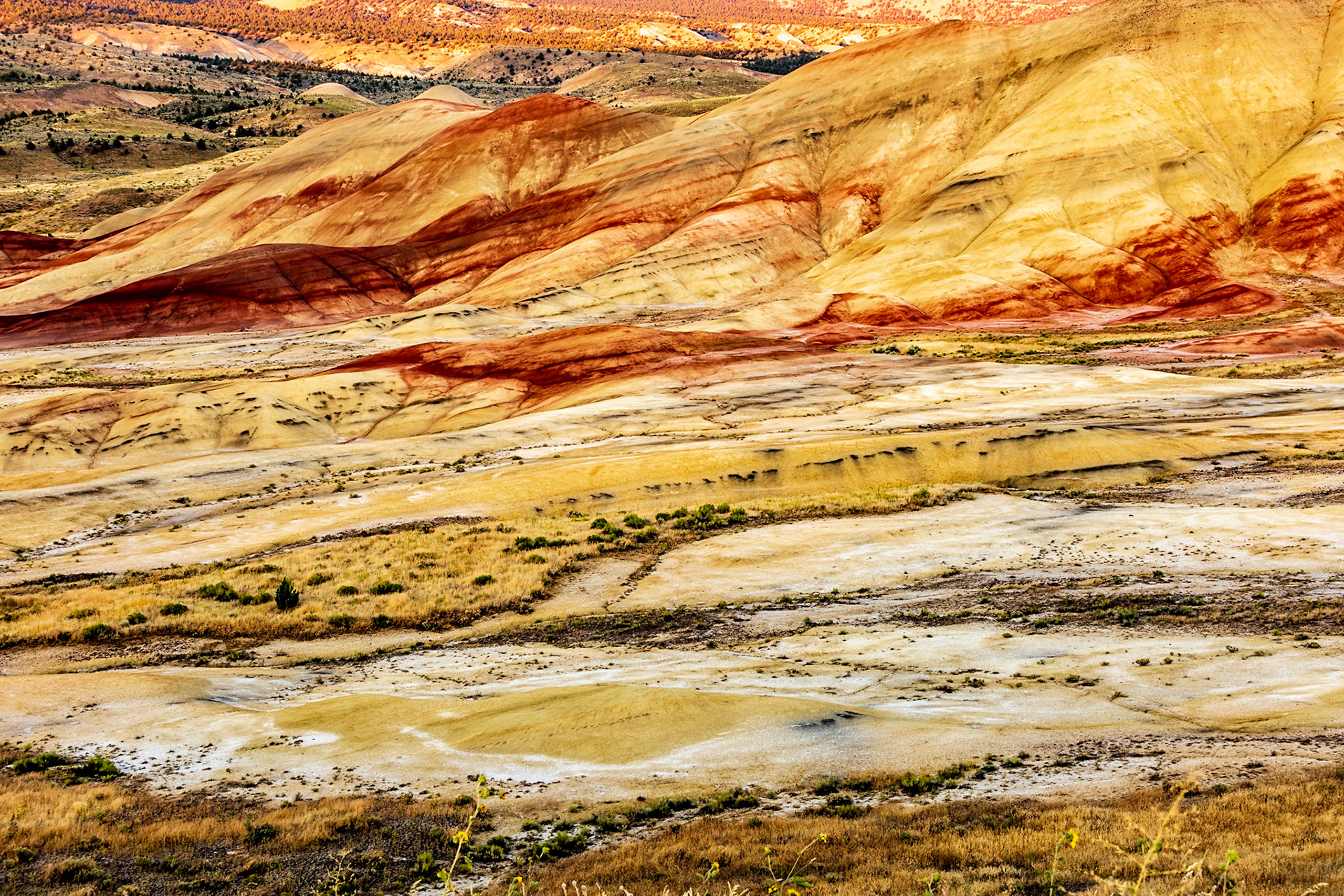 John Day Painted Hills