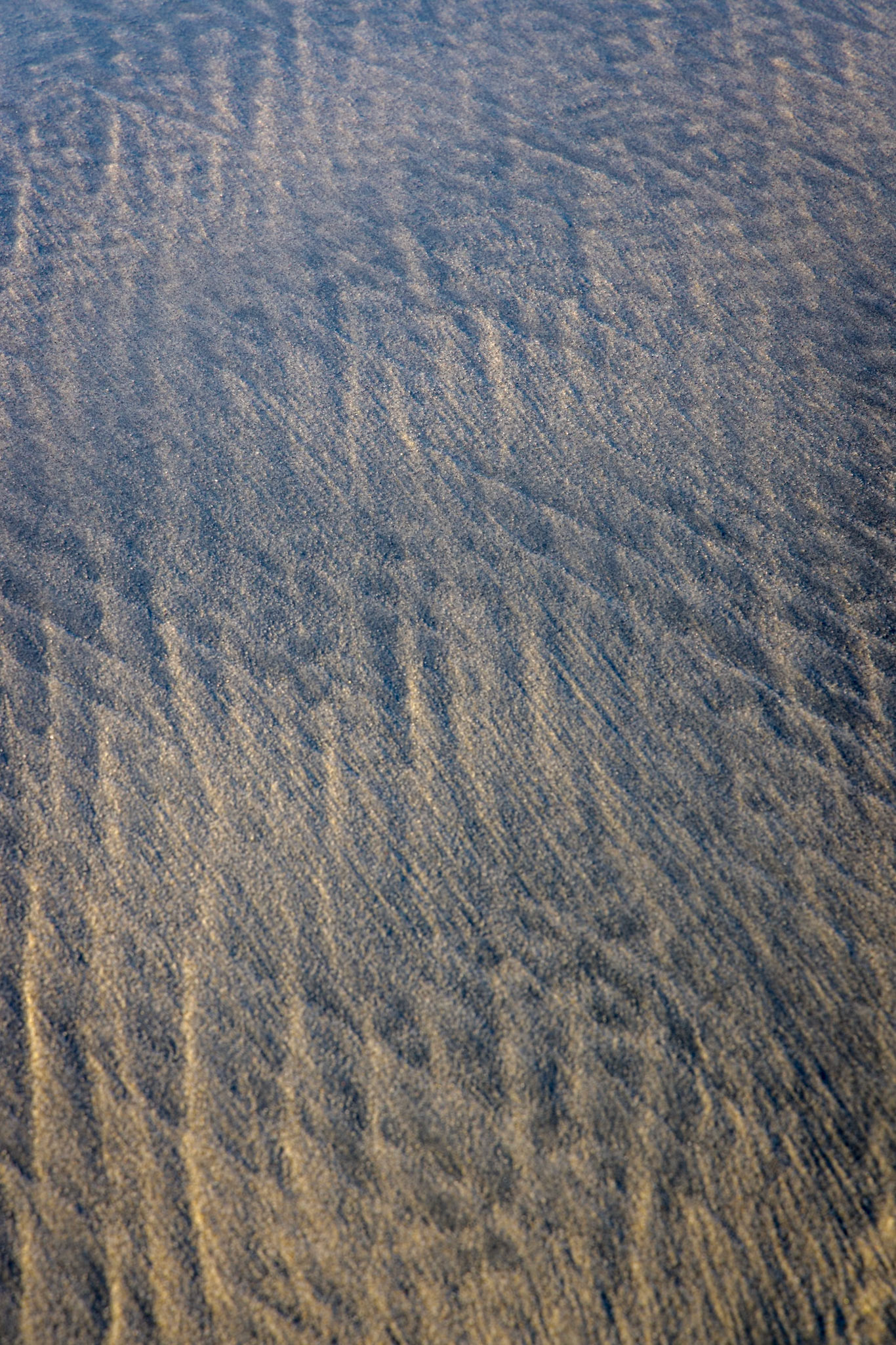 Wharariki Beach