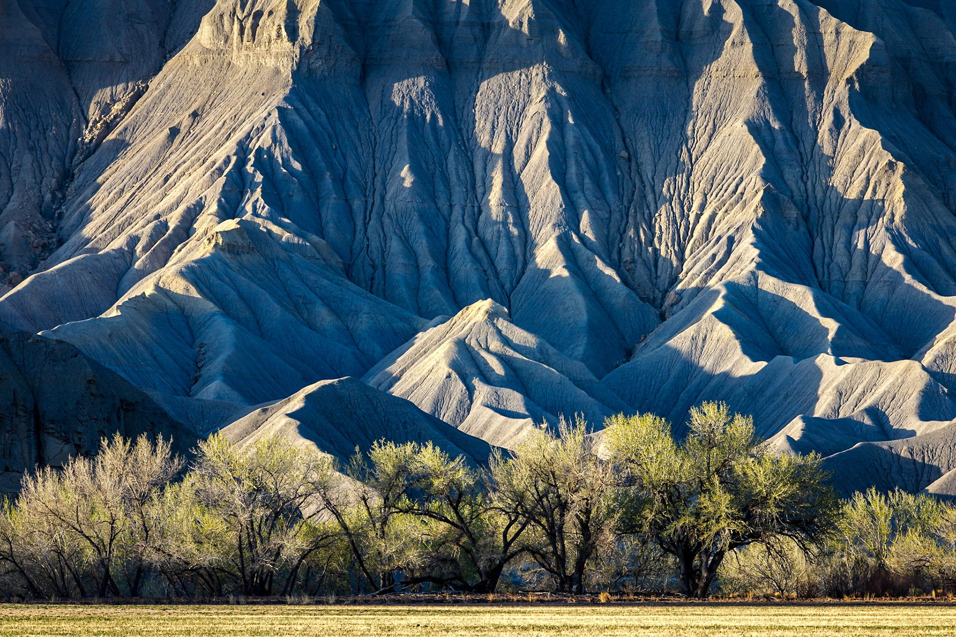 South Caineville Mesa