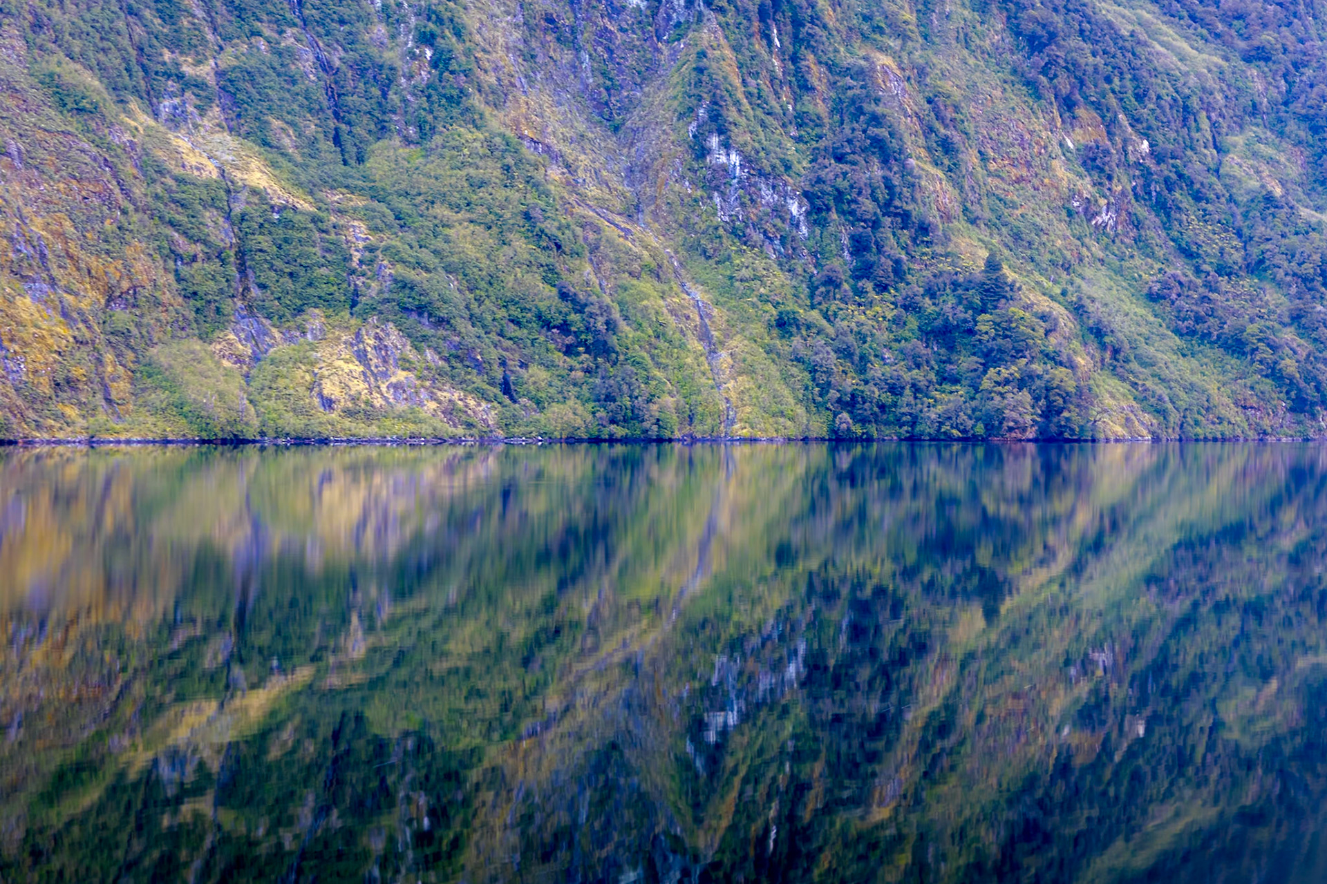 Doubtful Sound - Hall Arm