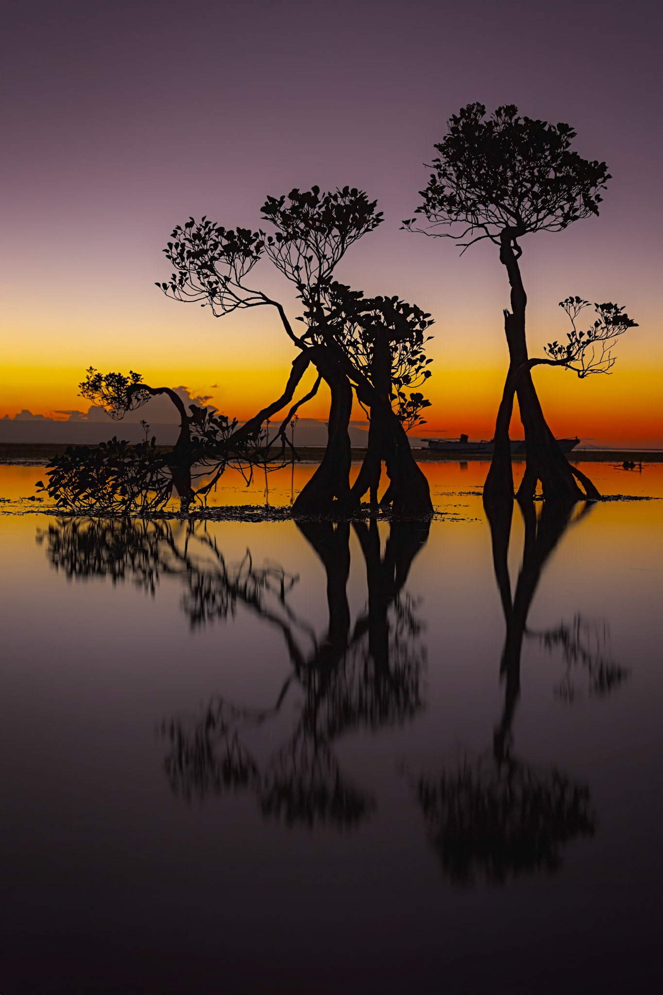Dancing Trees, Walakiri, Sumba