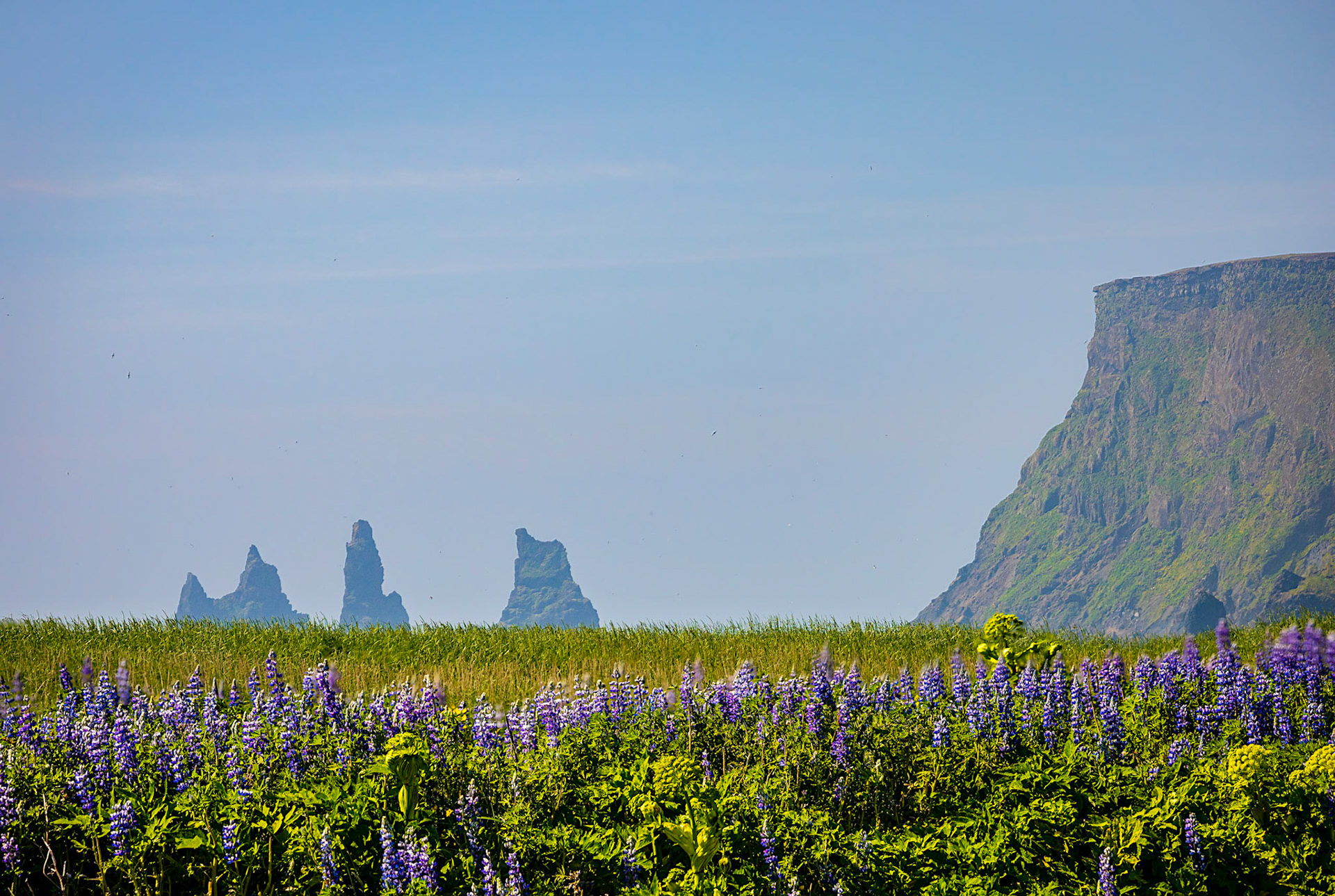 Reynisdrangar