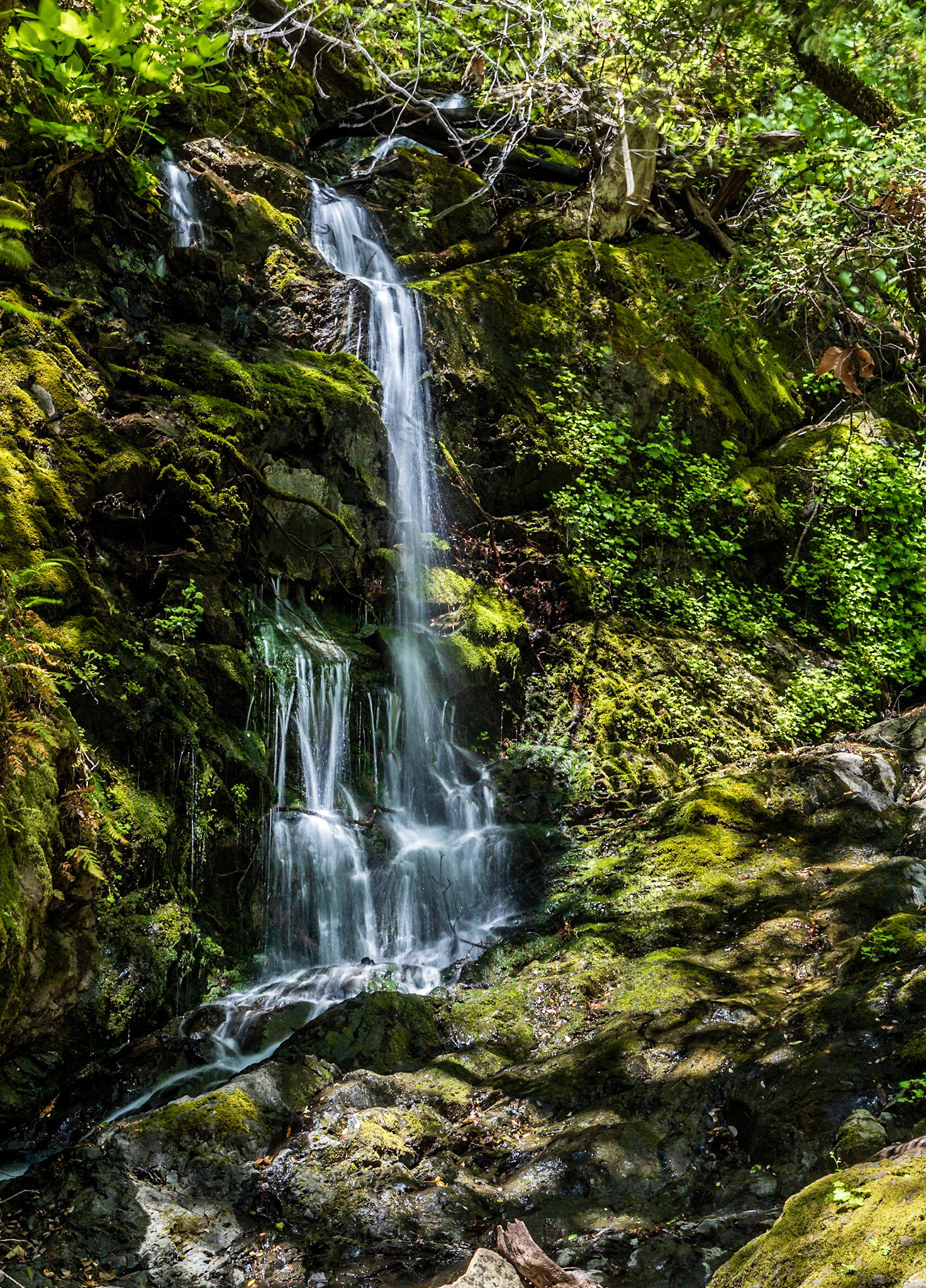 Uvas Canyon County Park
