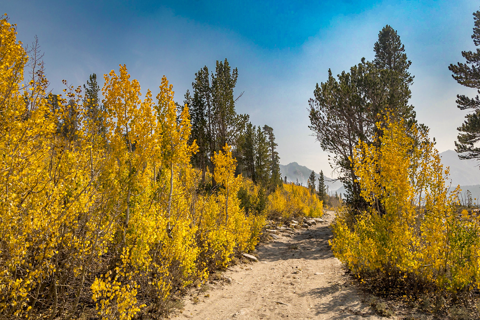 John Muir Wilderness