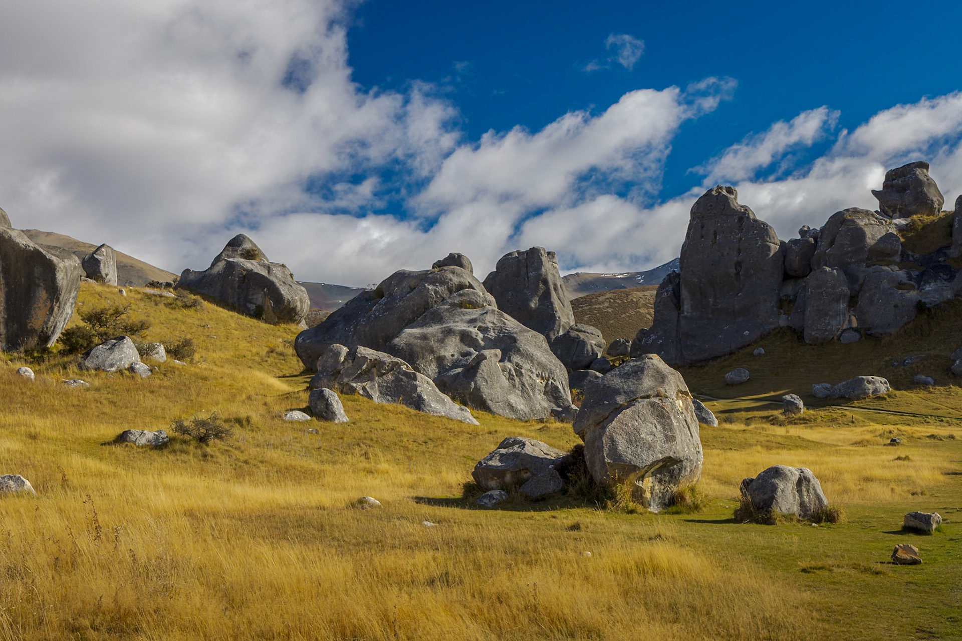 Kura Tawhiti - Castle Hill