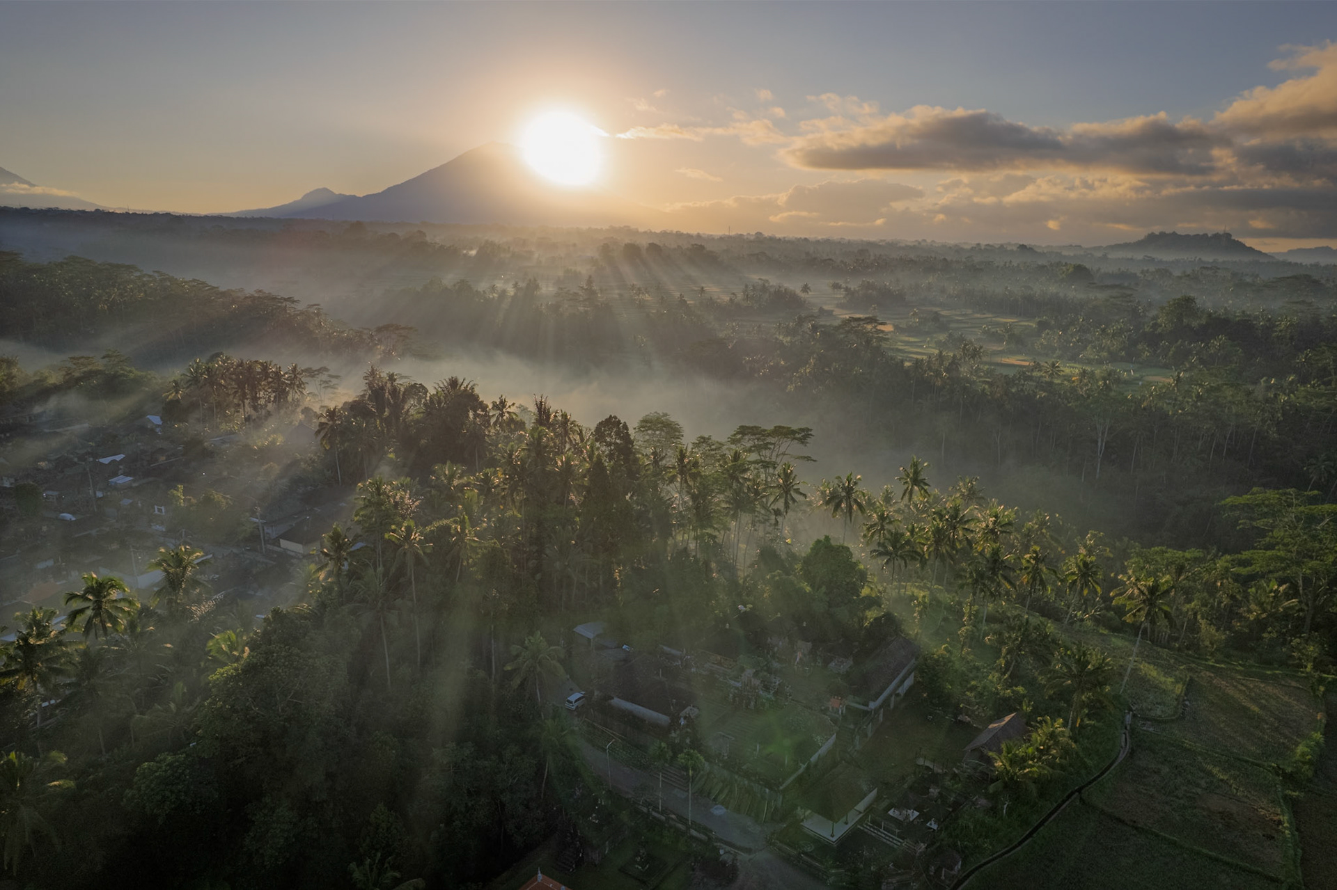 Mancingan Rice Terrace